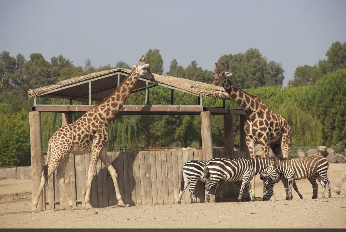 Izmir Wildlife Park photo 3