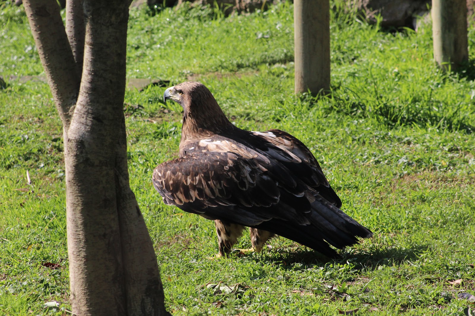 Izmir Wildlife Park photo 7