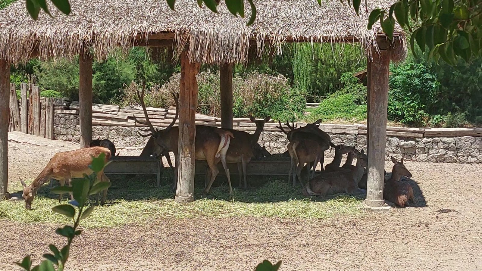 Izmir Wildlife Park photo 5