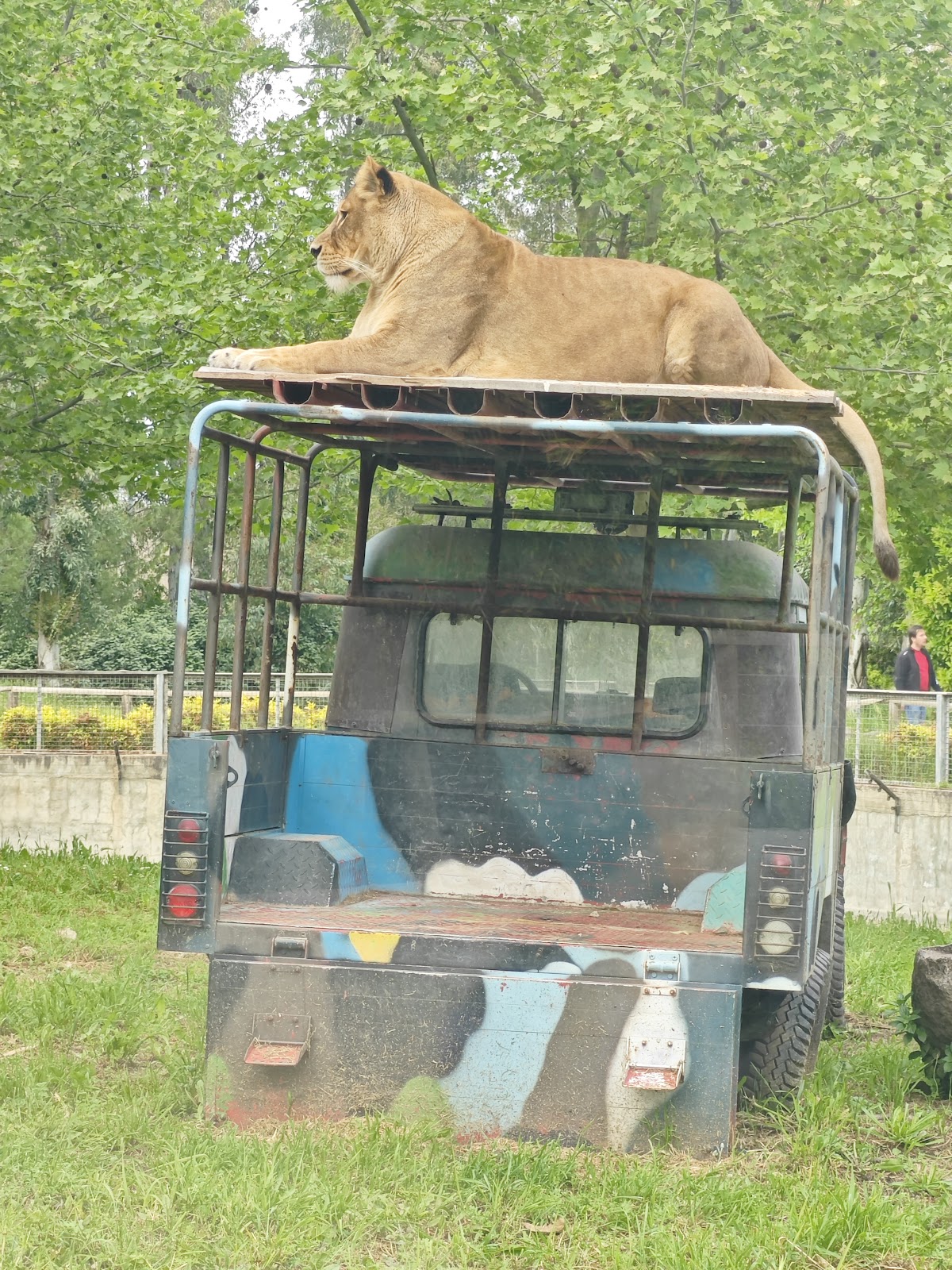 Izmir Wildlife Park photo 12