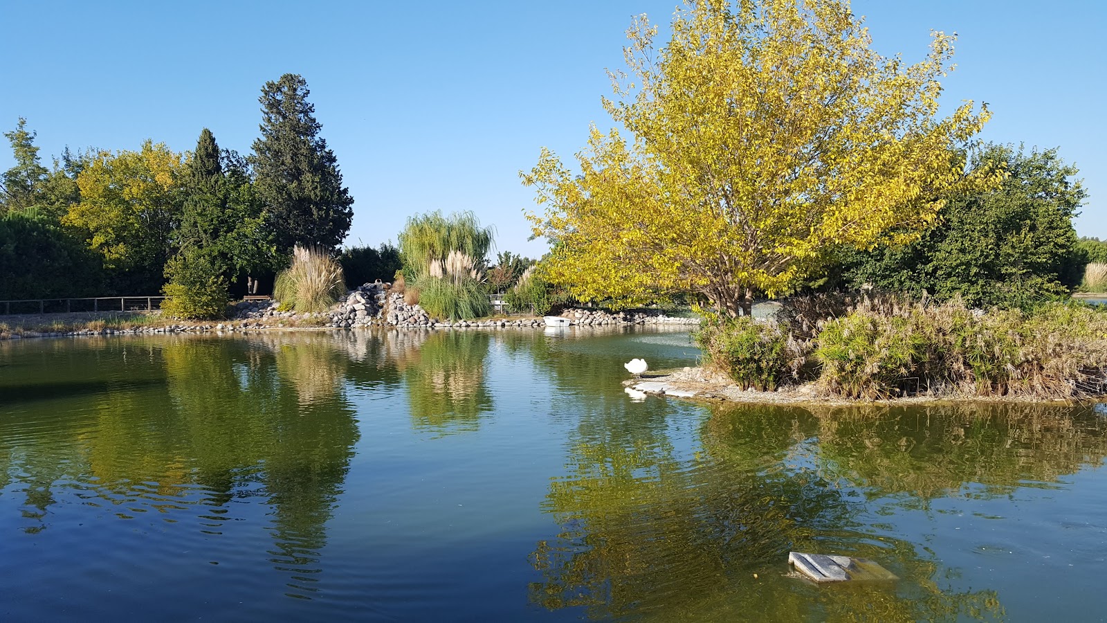 Izmir Wildlife Park photo 6