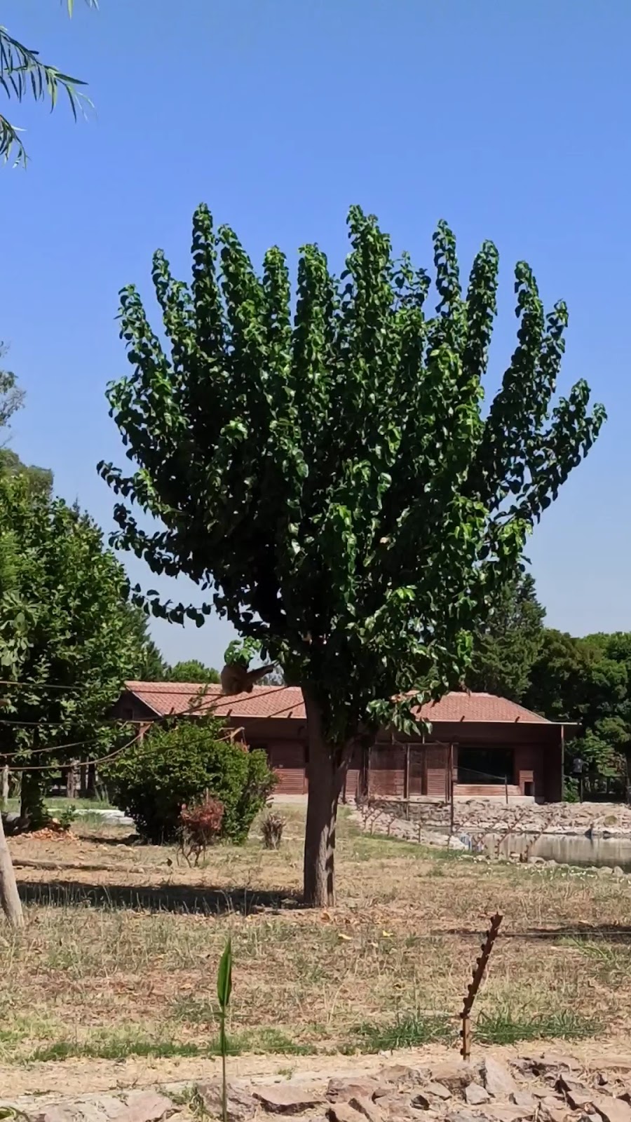 Izmir Wildlife Park photo 4