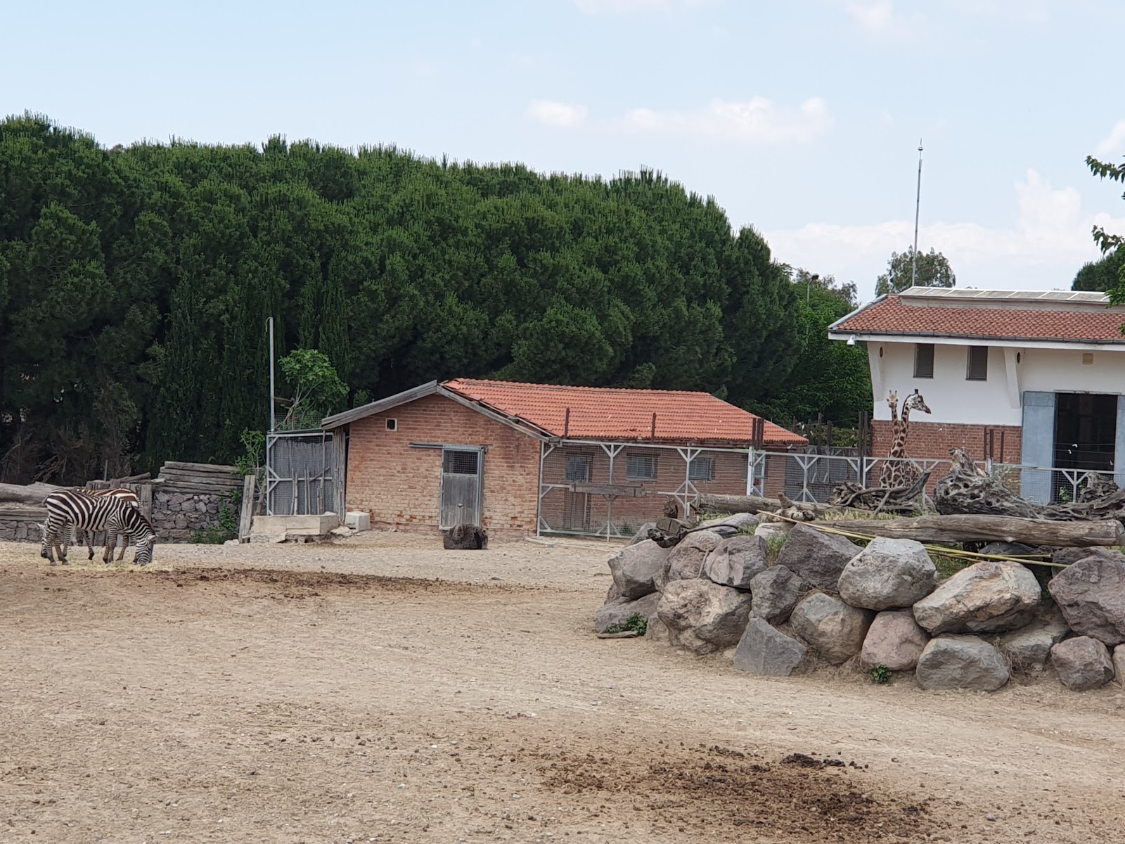 Izmir Wildlife Park photo 2