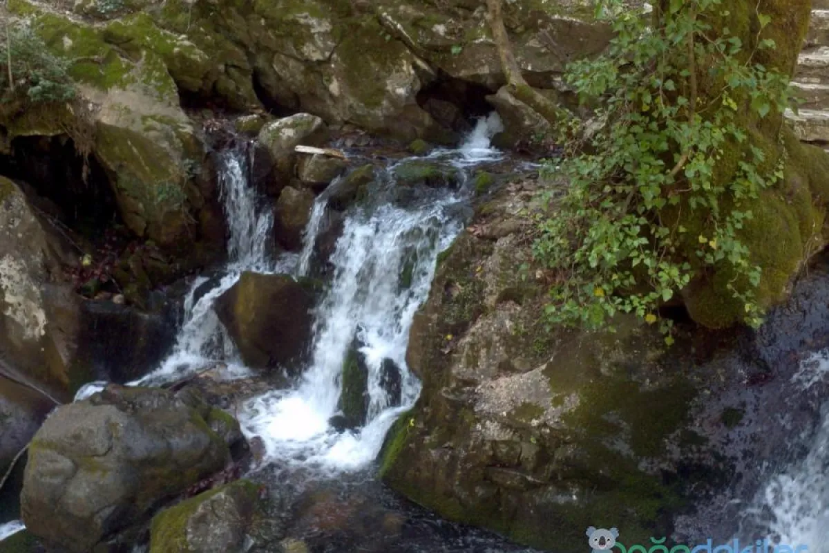 Ayazma Spring Nature Park photo 1