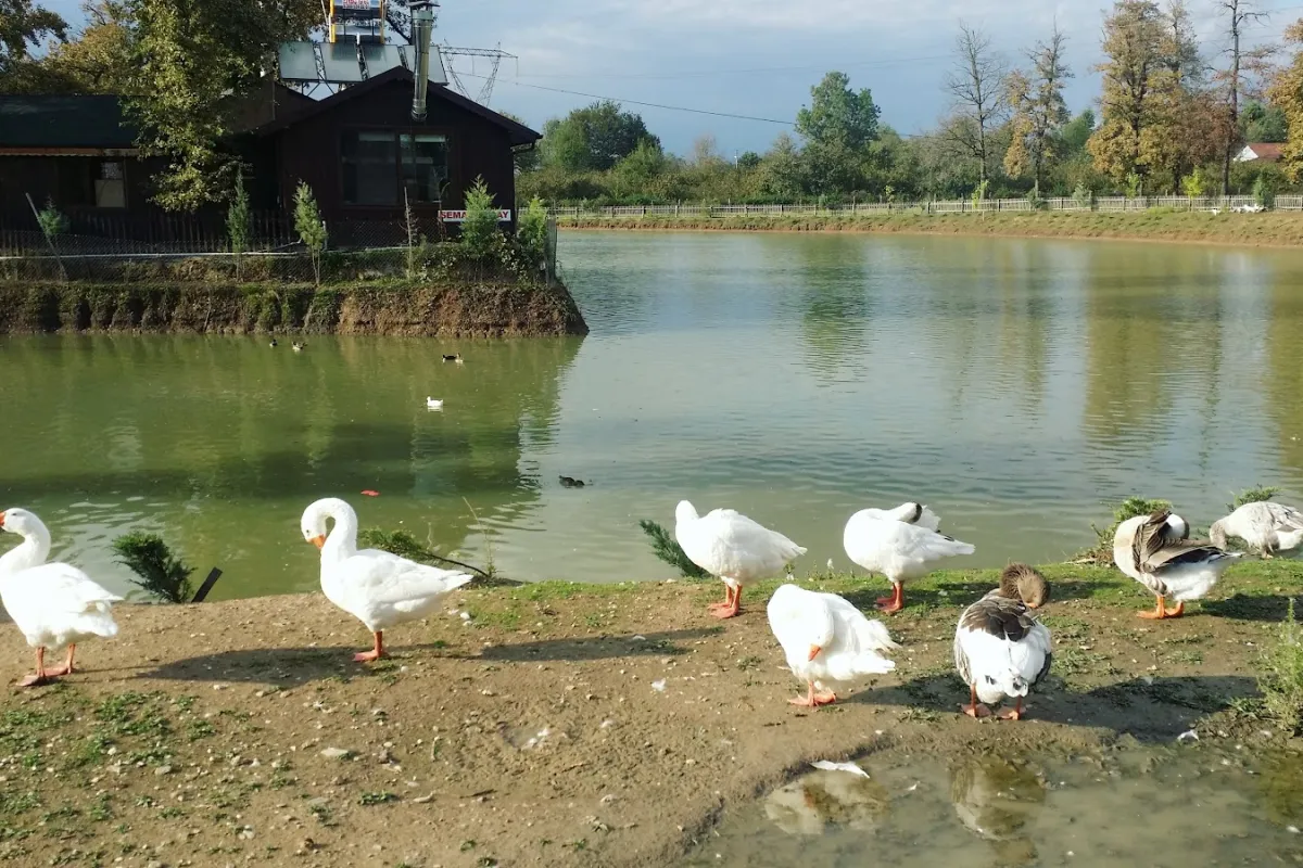 MUNCURLU GÖLET PARK photo 1