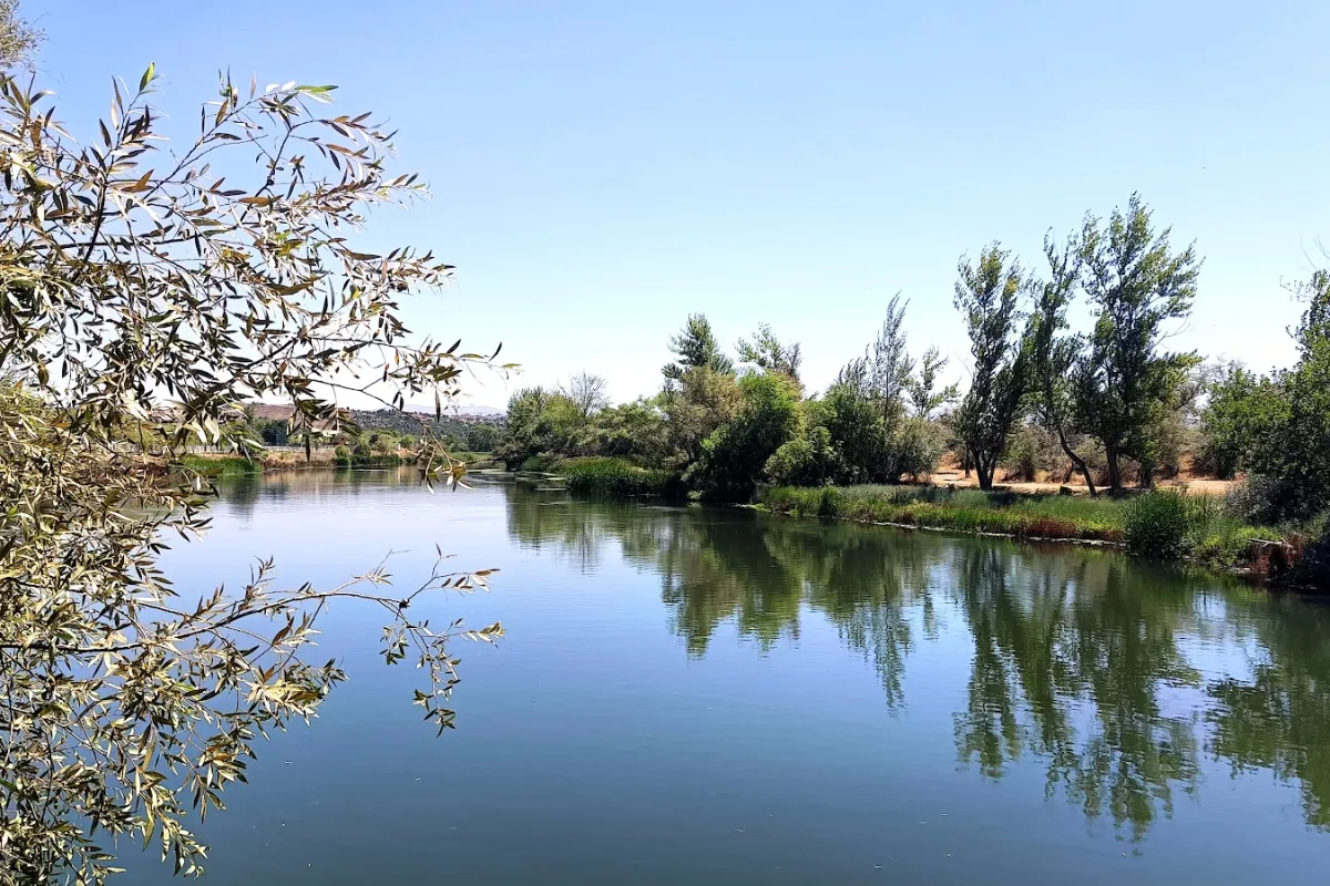 Yahşihan Park Mesire Alanı photo 1