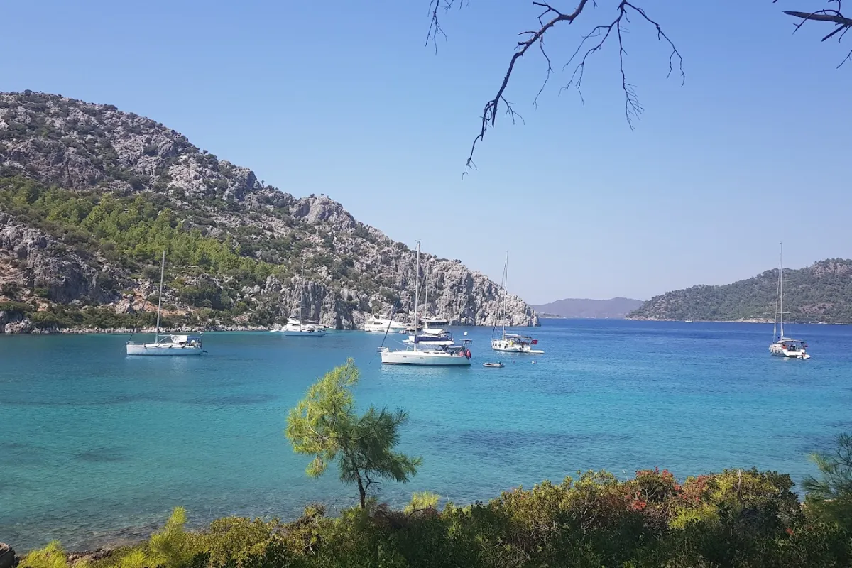 Cennet Bay photo 1