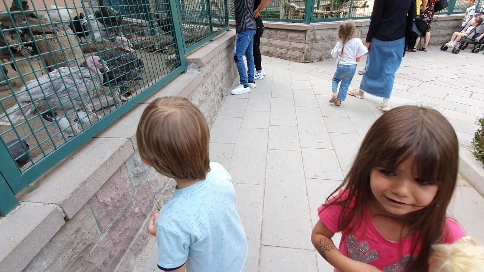 Keçiören Evcil Hayvanlar Parkı photo 5