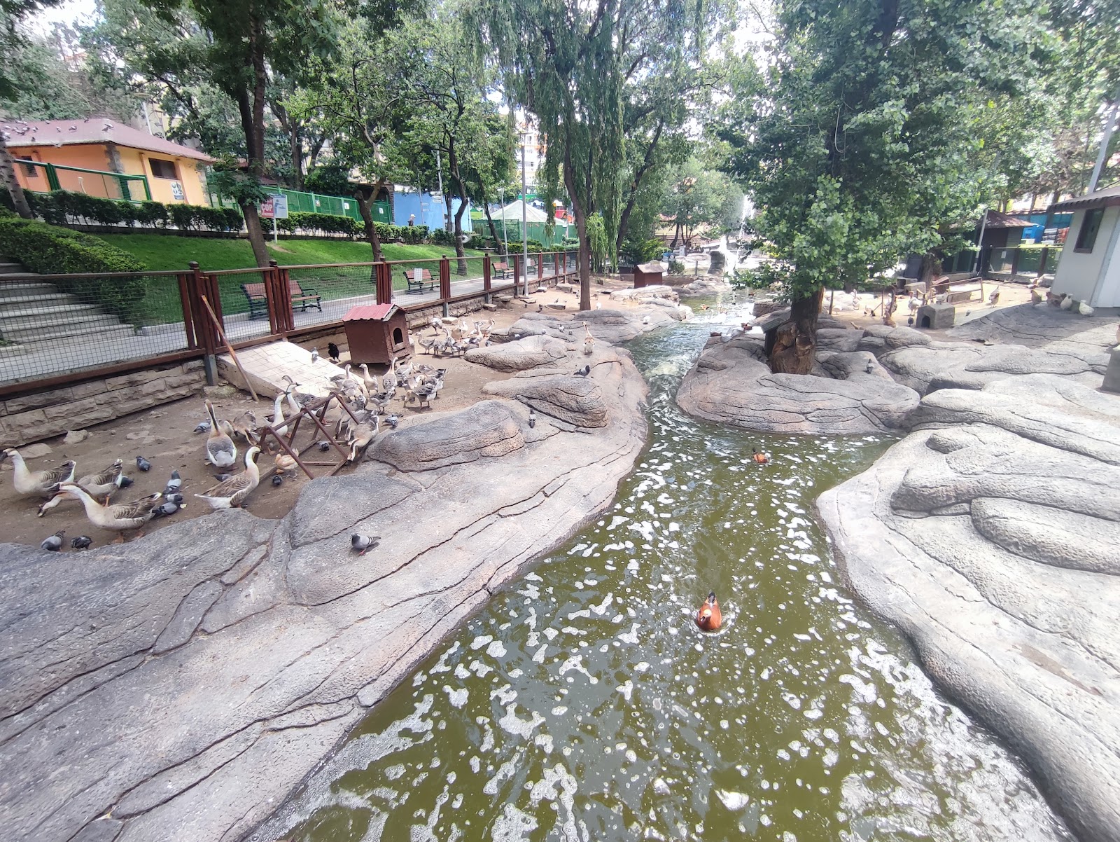 Keçiören Evcil Hayvanlar Parkı photo 8