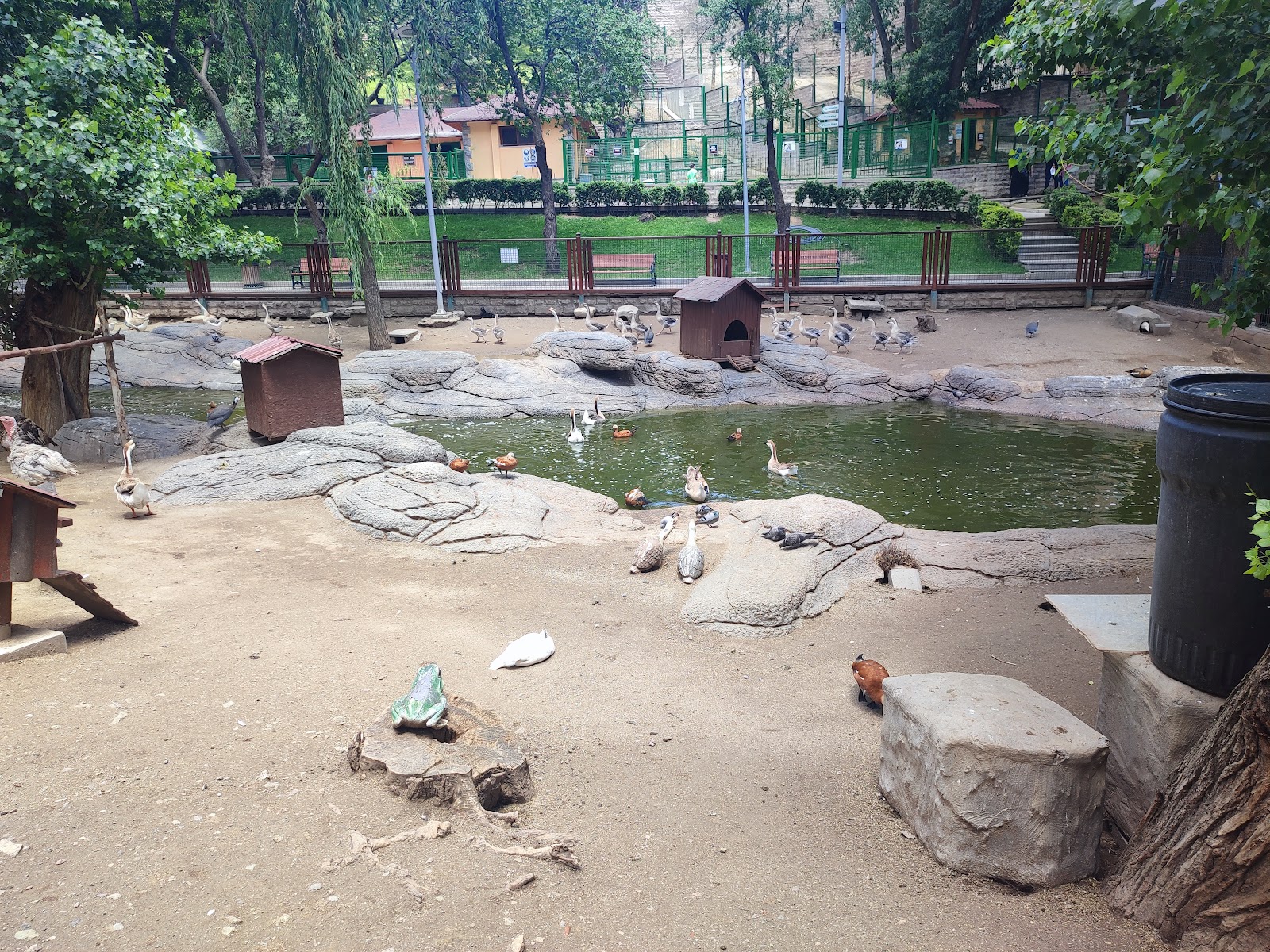 Keçiören Evcil Hayvanlar Parkı photo 9