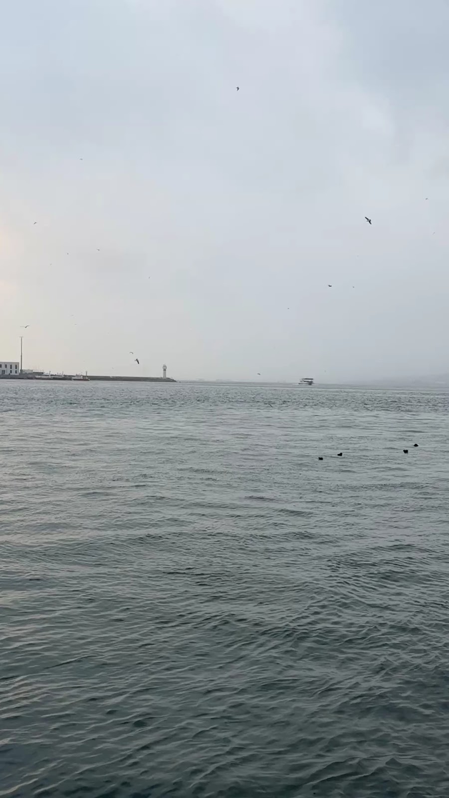 Kadıköy Moda Sahil Parkı ve Yürüyüş Yolu photo 3