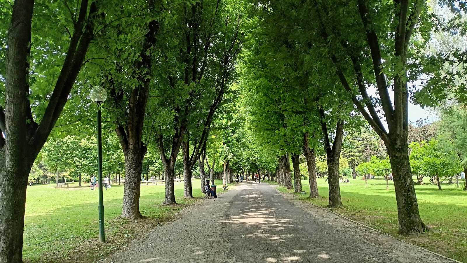 Erdem Saker Botanik Parkı photo 2