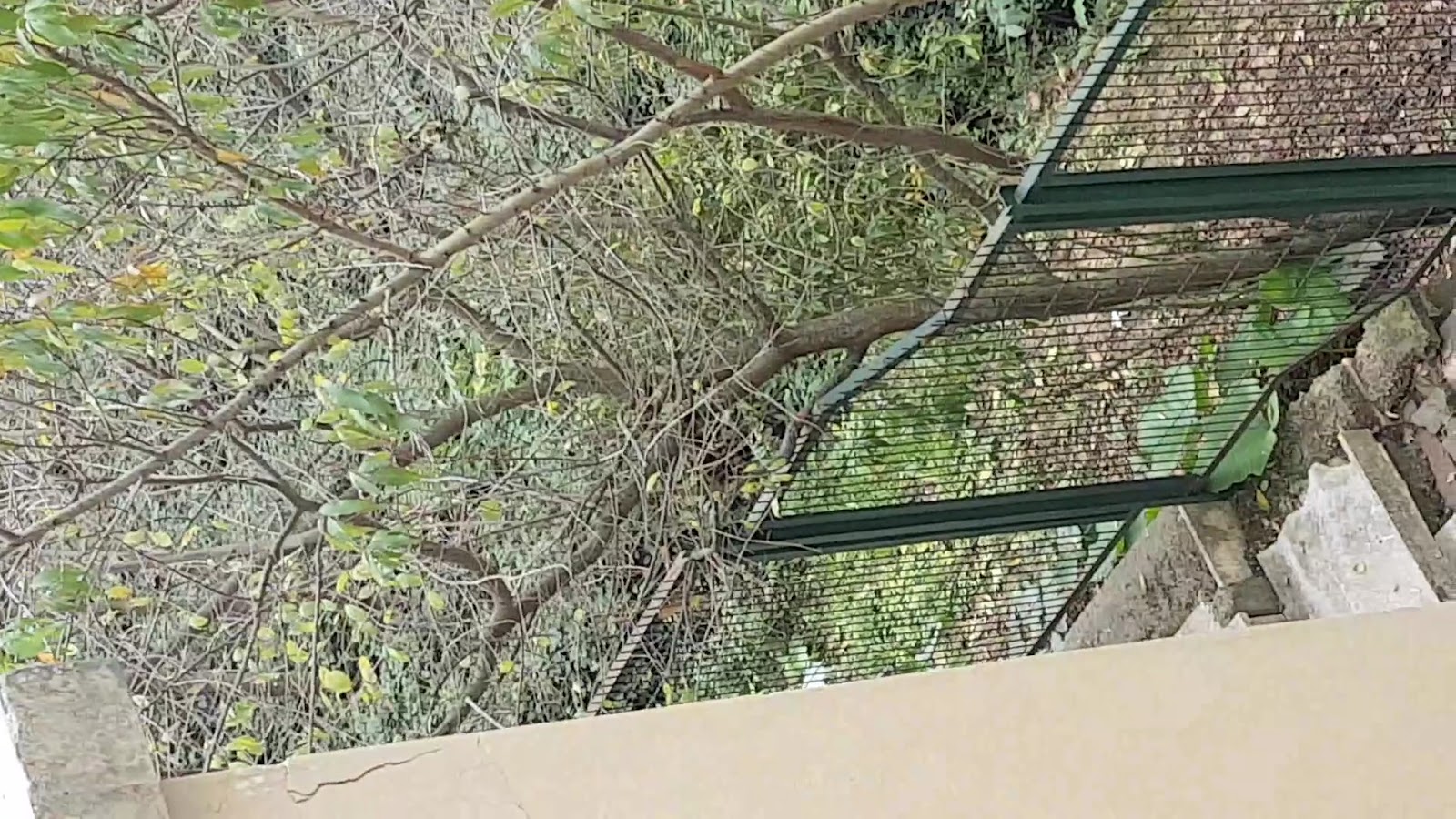 Yuşa Hazretleri Tepesi photo 5