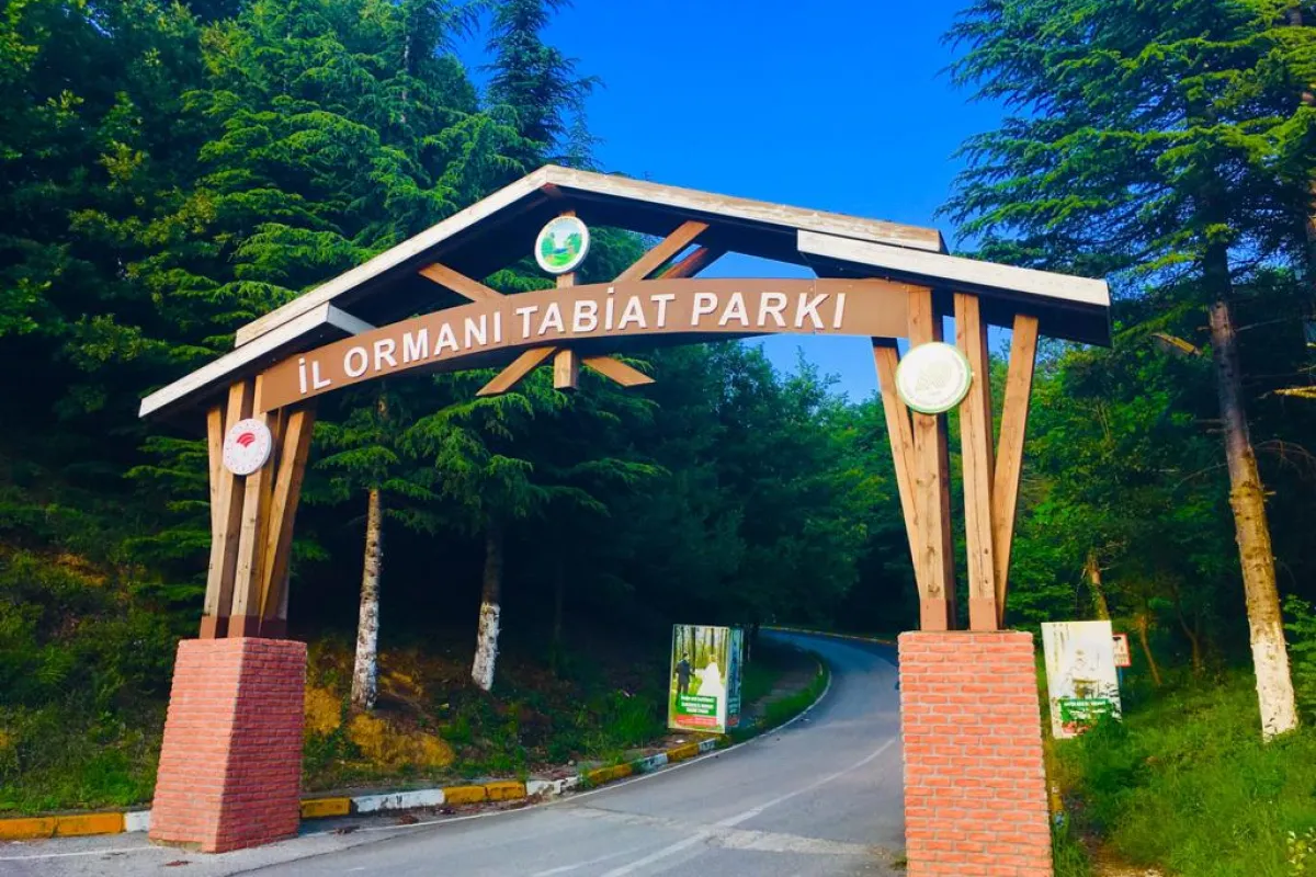 Sakarya İl Ormanı Tabiat Parkı photo 1