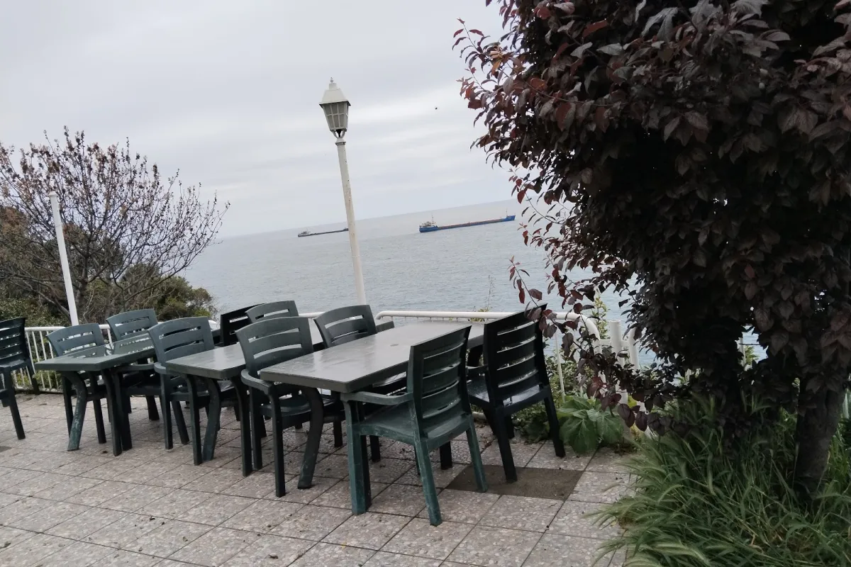 Zonguldak Tabip Odası Lokali photo 1