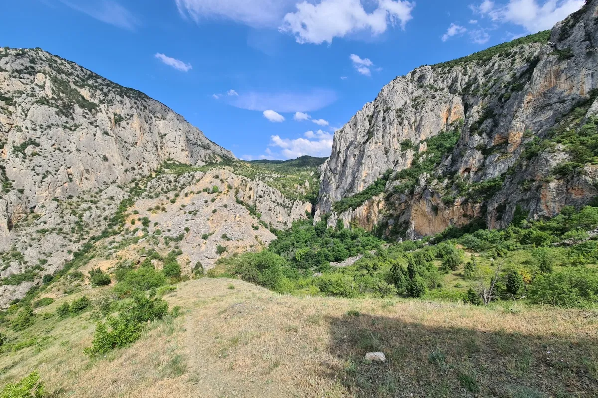 Milli Egemenlik Ormanı photo 1