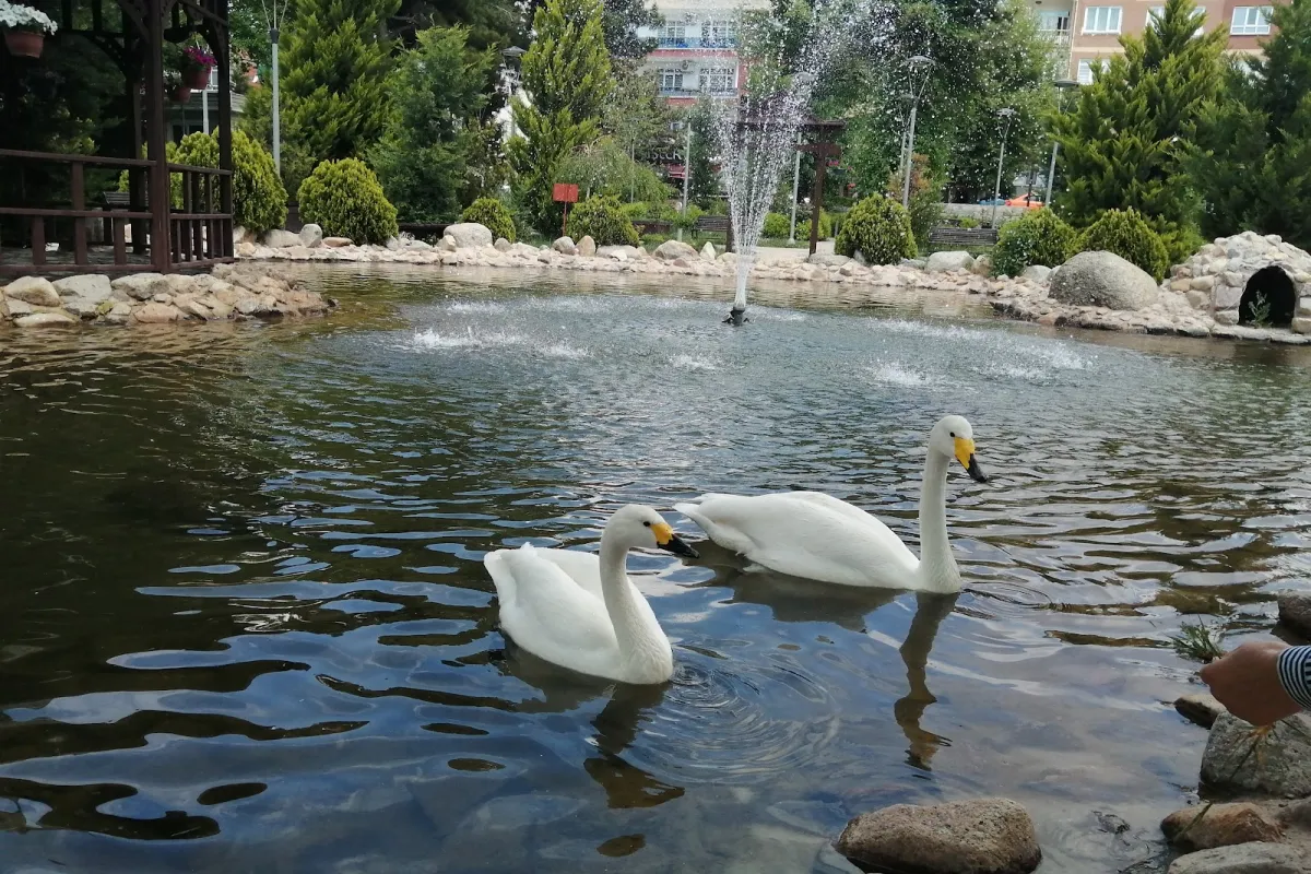 Kırıkkale Şehitler Parkı photo 1