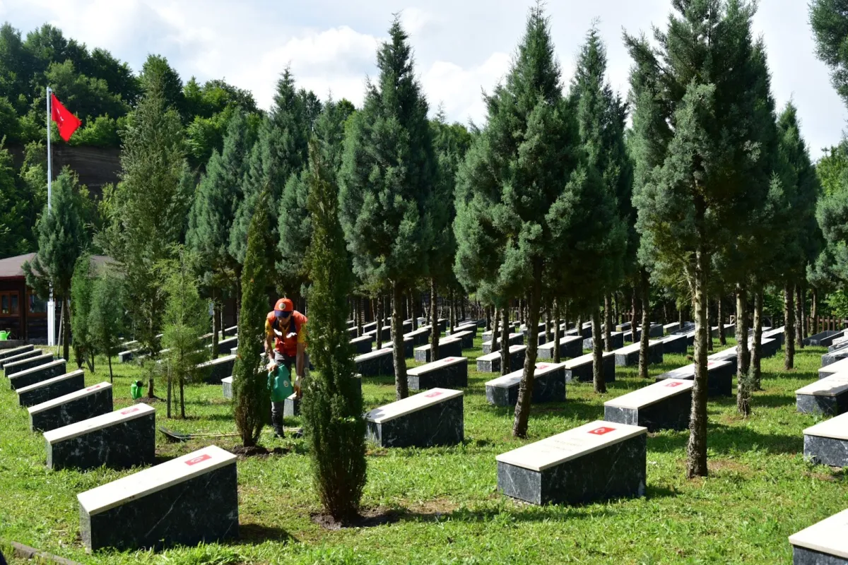 Zonguldak Martyrs' Forest photo 1