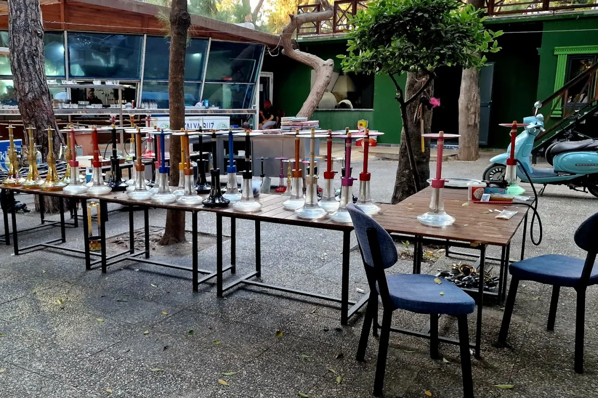 DENİZE KARŞI GARDEN photo 1