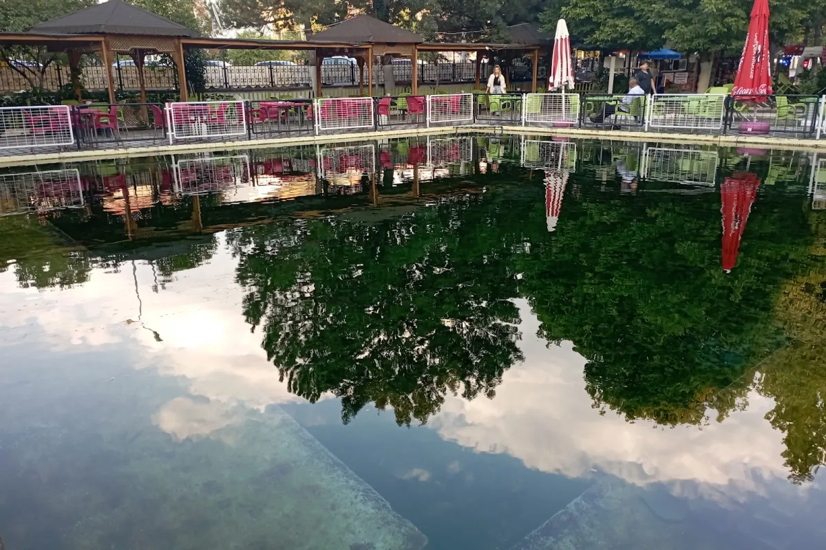 Tavşanlı Municipality Fish Park photo 1