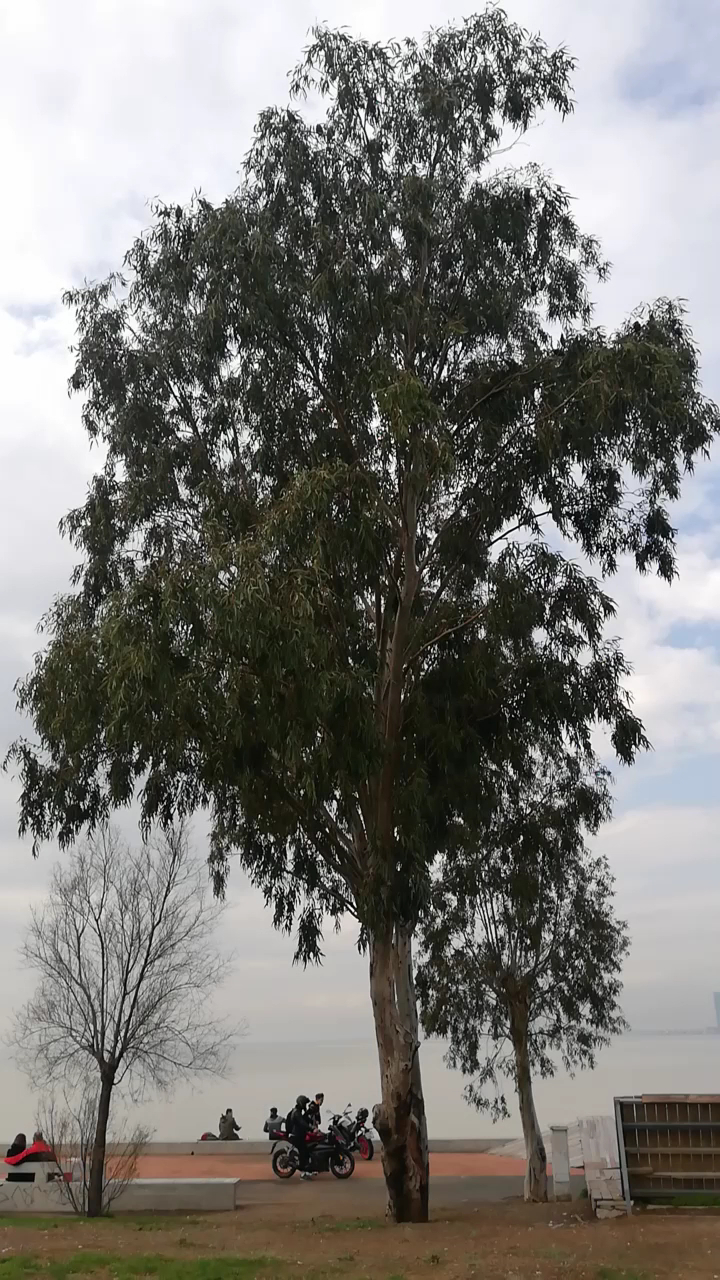 Bostanlı Coast photo 8