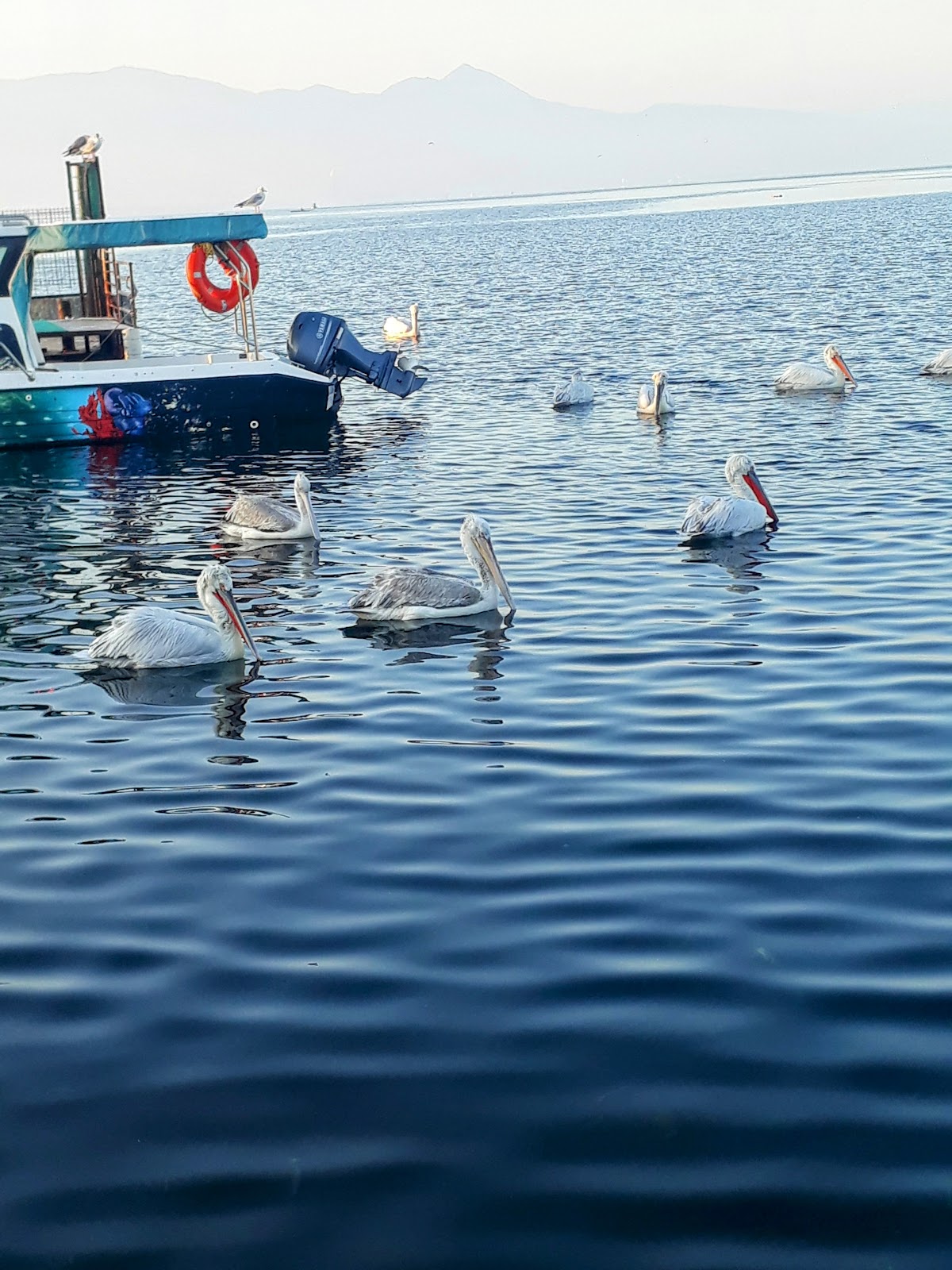 Bostanlı Coast photo 4