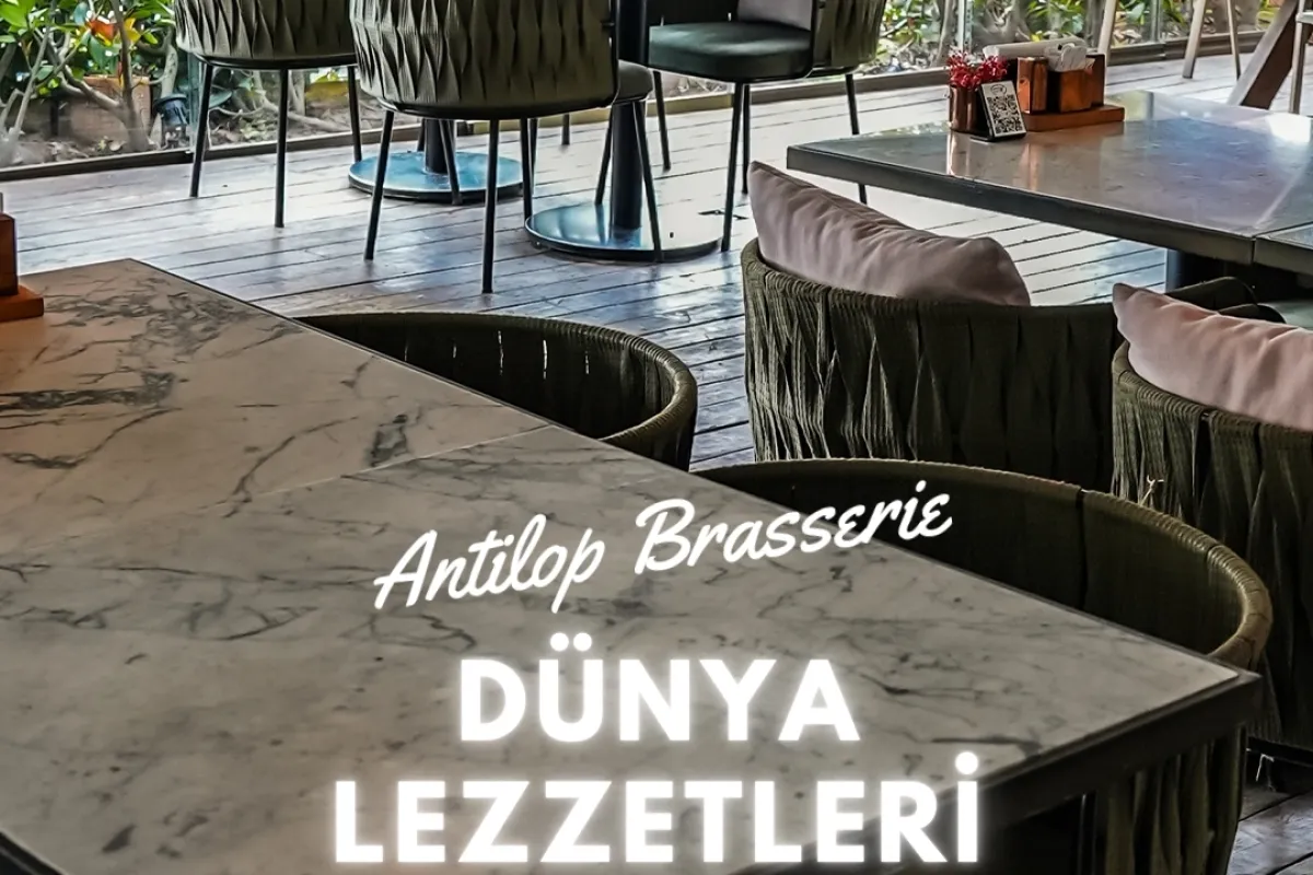 Antilop Cafe - Restaurant photo 1