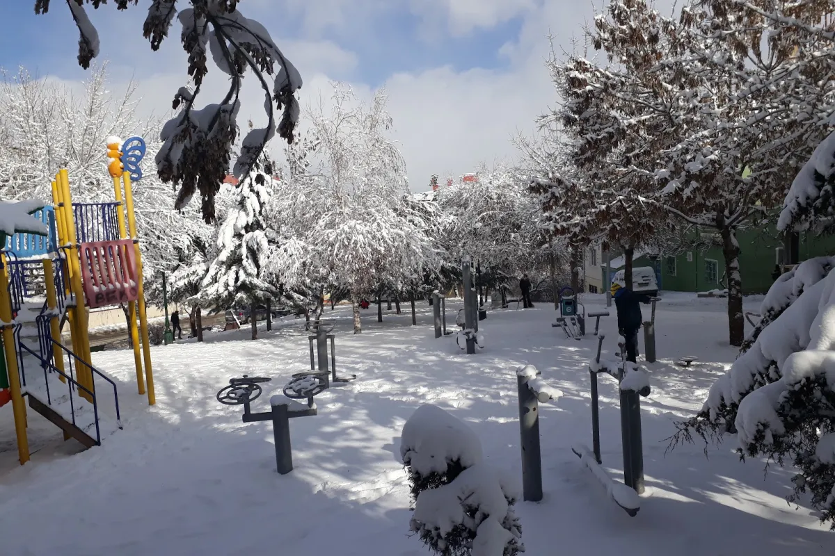Memiş Dede Parkı photo 1