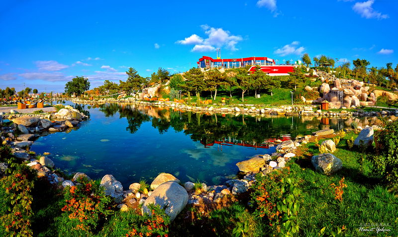 50th Year Park photo 4