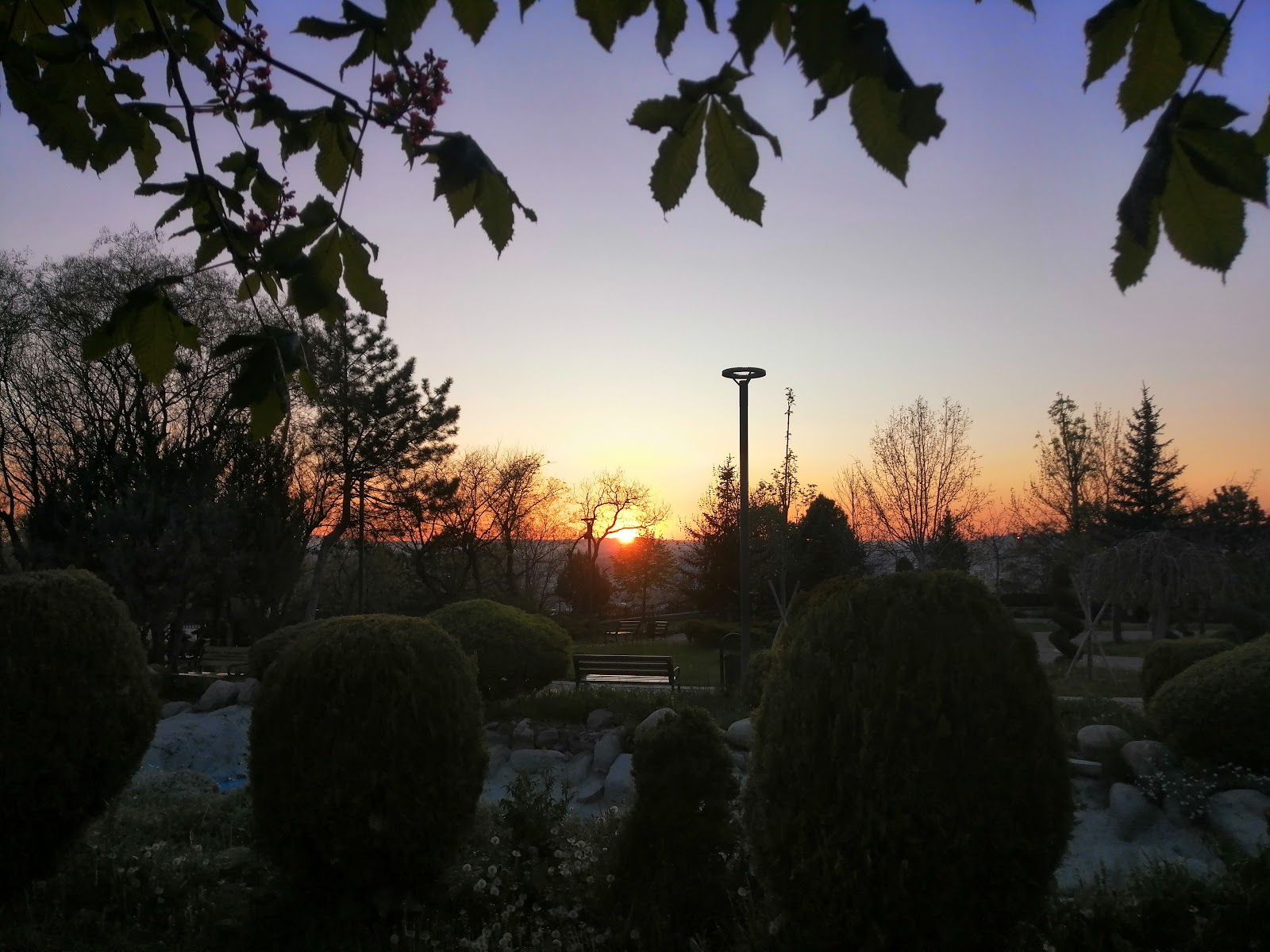 50th Year Park photo 9