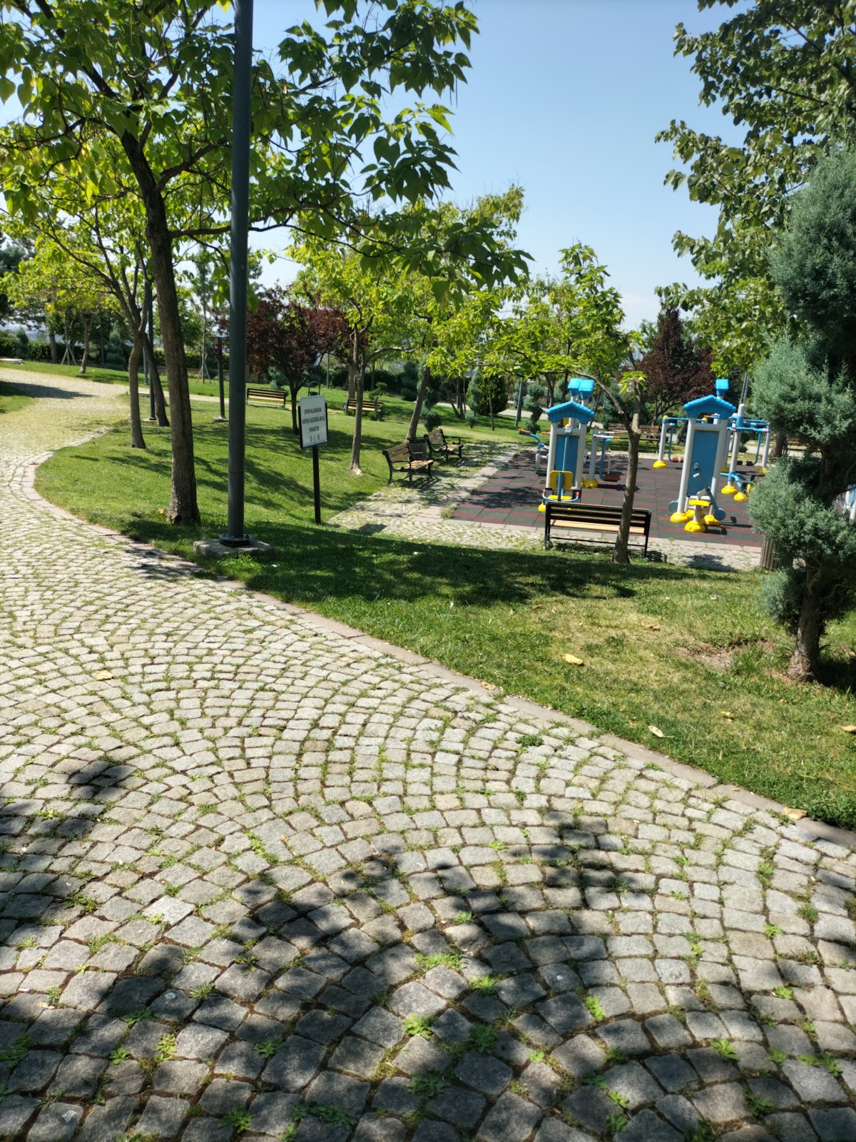 50th Year Park photo 15