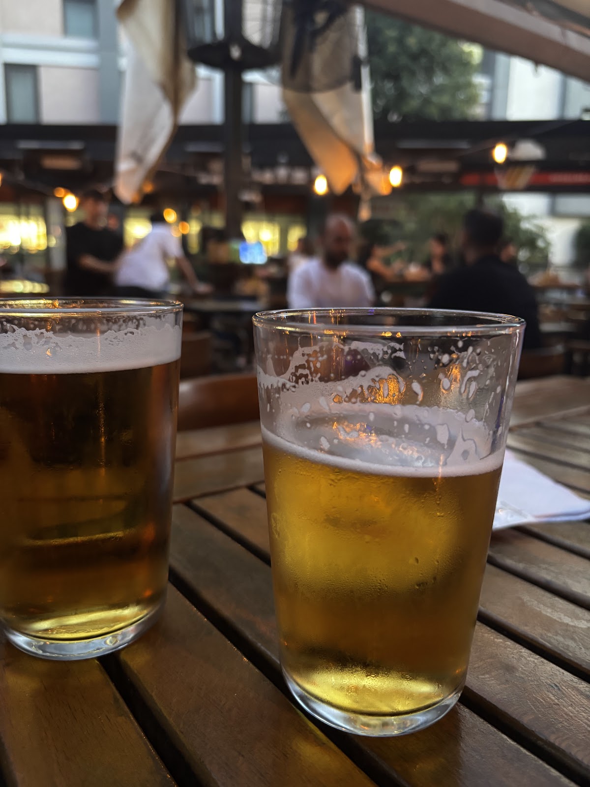 Radyo Pub Görükle; Bira Bahçesi photo 6