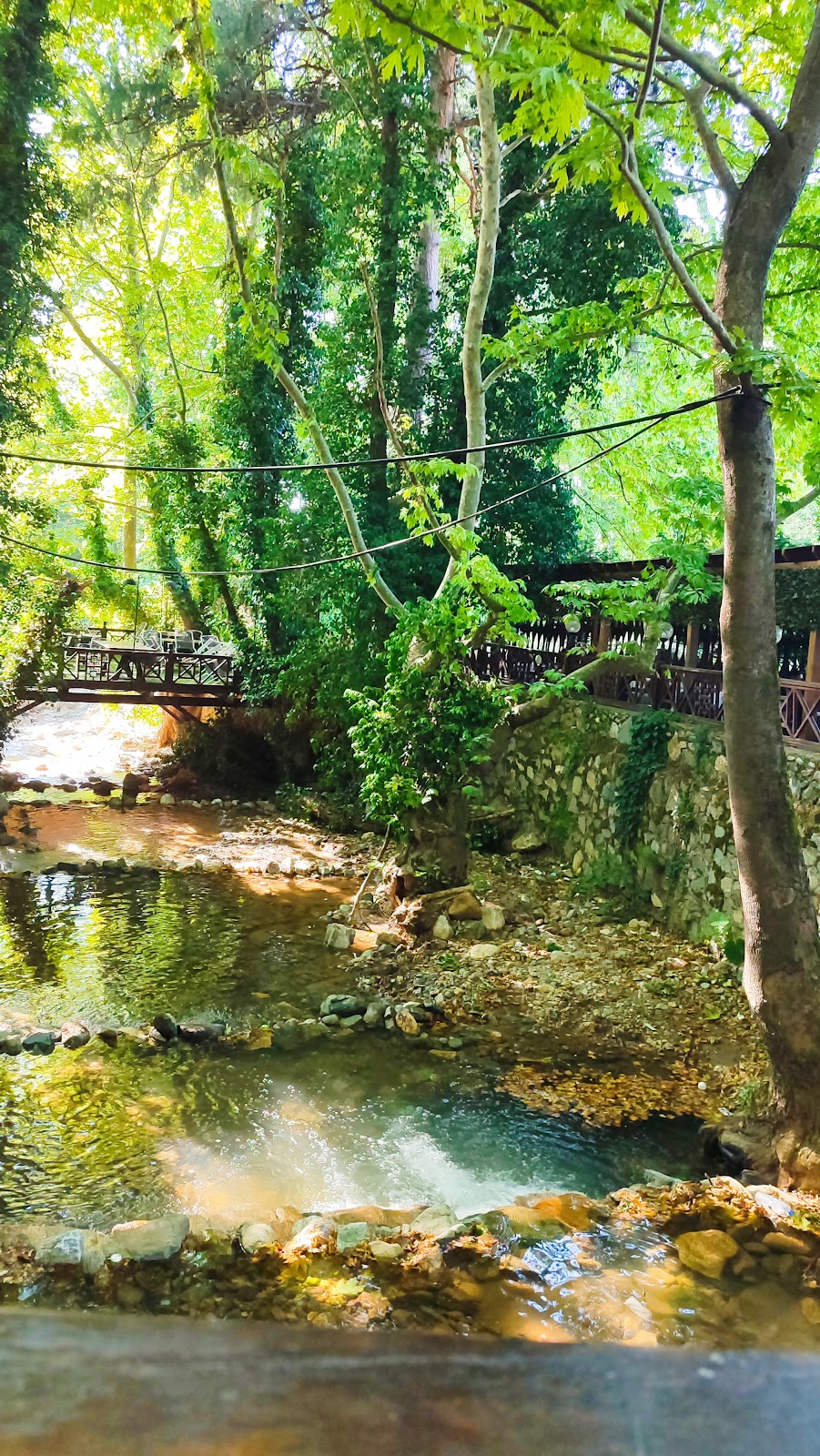 Derebahçe Sosyal Tesisleri Restaurant photo 2