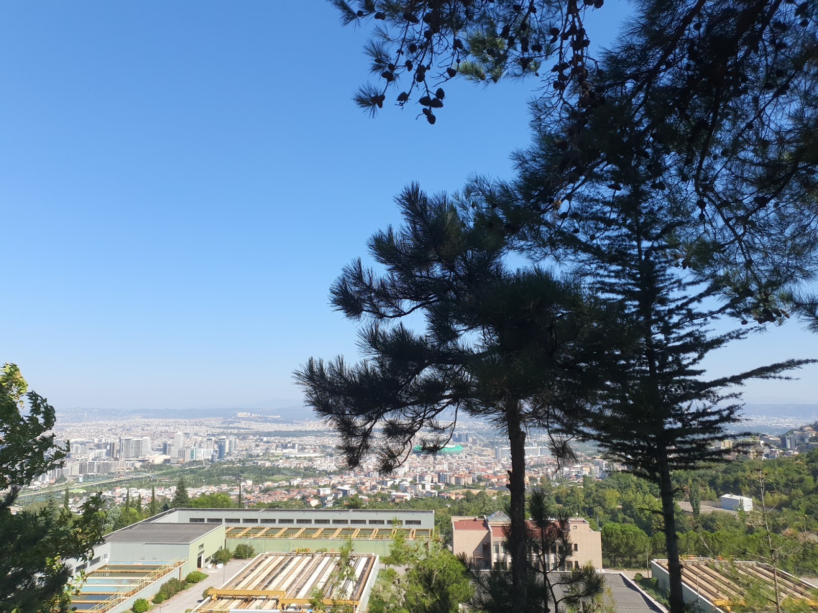 Dobruca Sosyal Tesisleri photo 6
