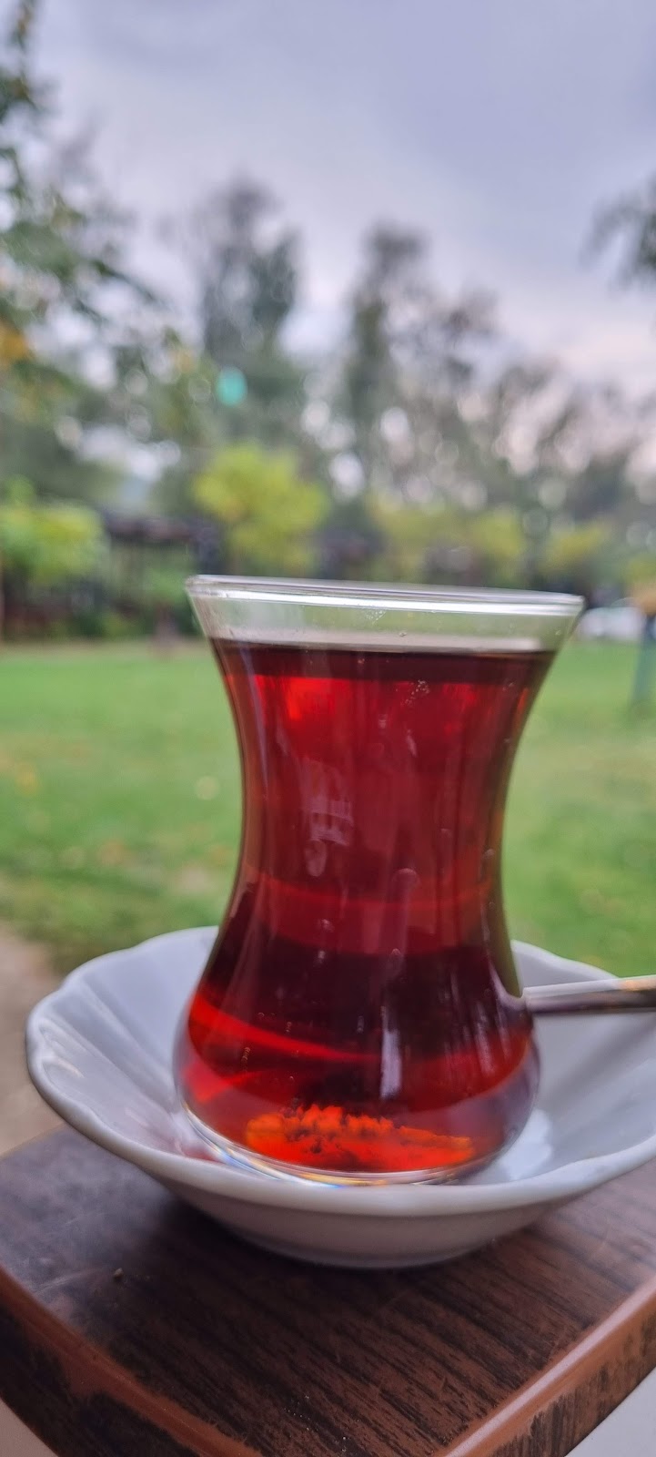 Misi Yaşam photo 5