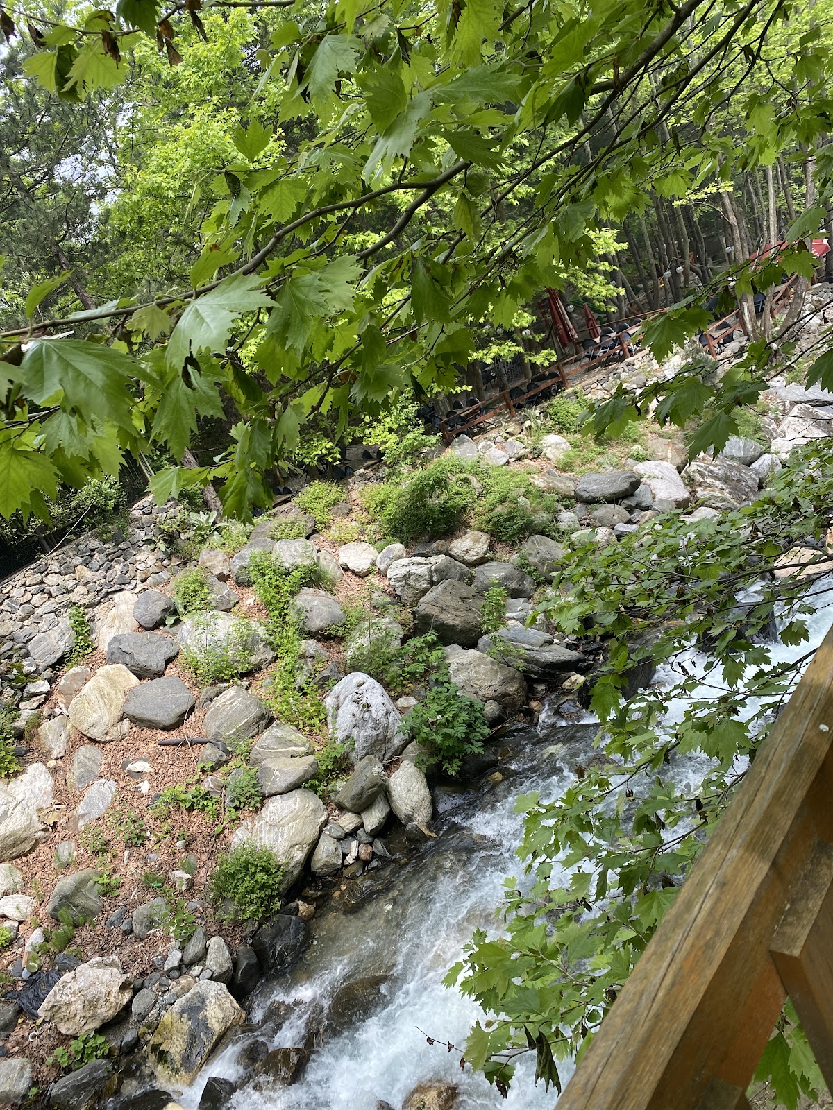 Selale Dere Park photo 2