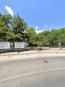 Temenyeri Park photo 3