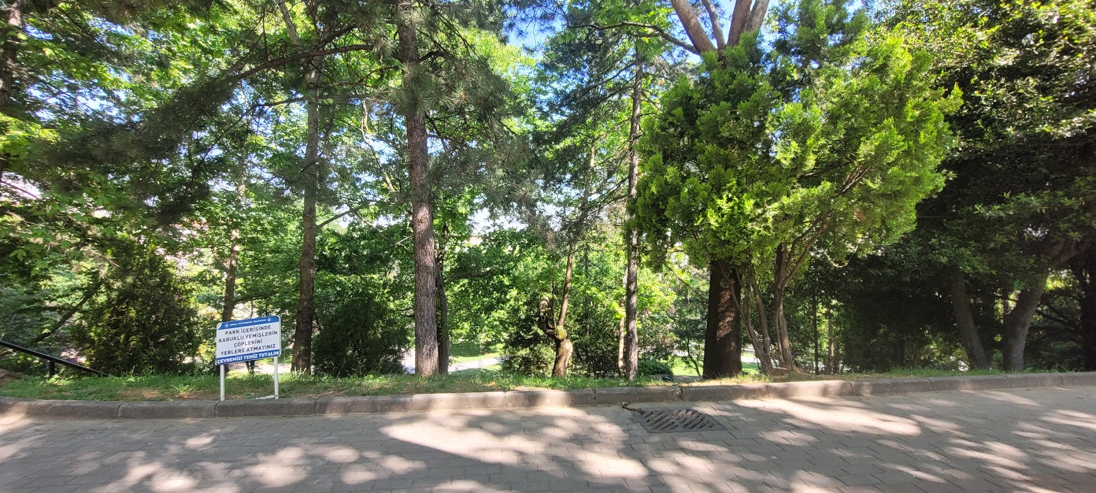 Temenyeri Park photo 6