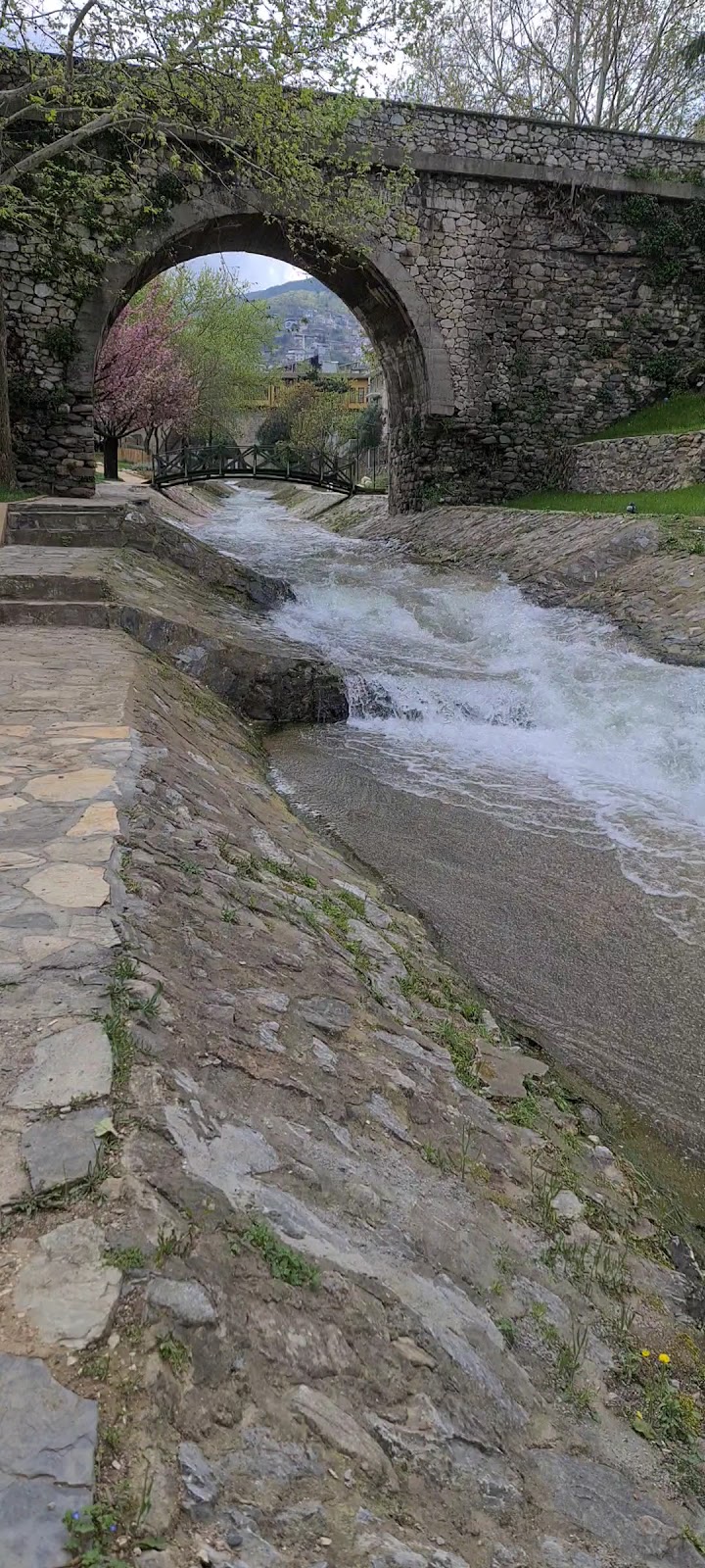 Temenyeri Park photo 2