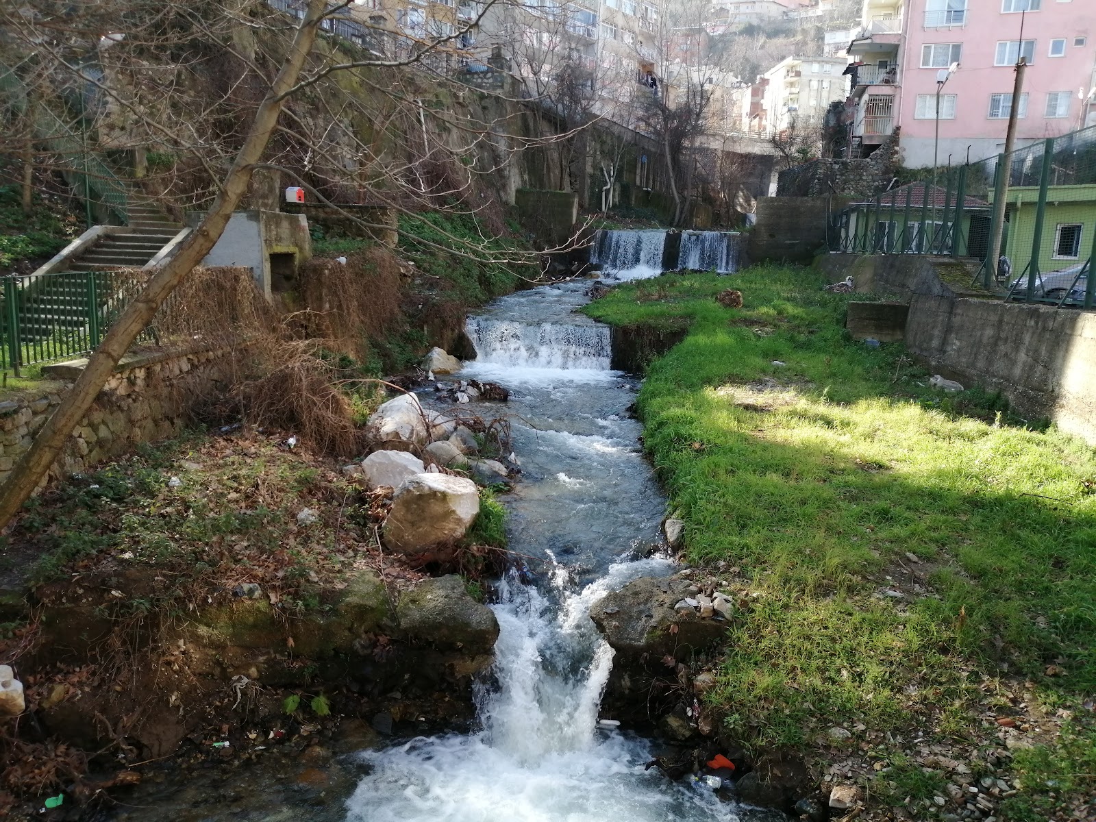 Temenyeri Park photo 1