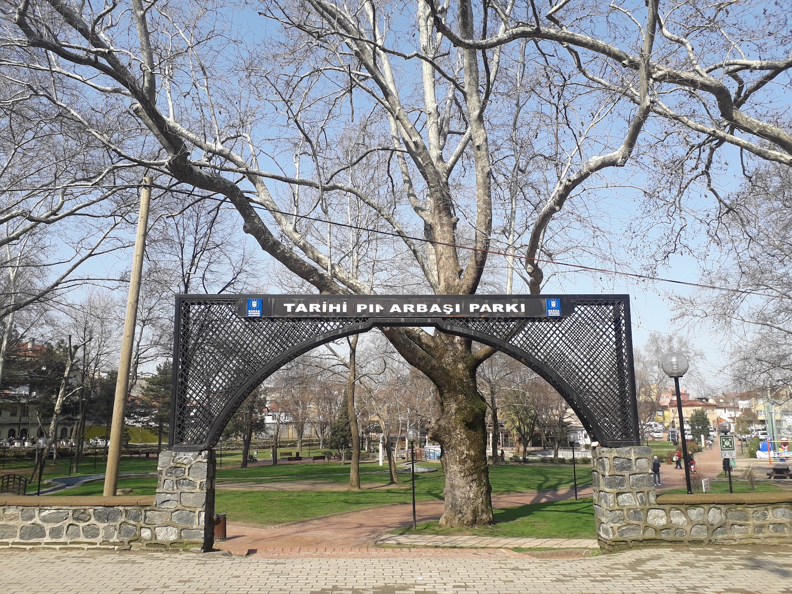 Temenyeri Park photo 10