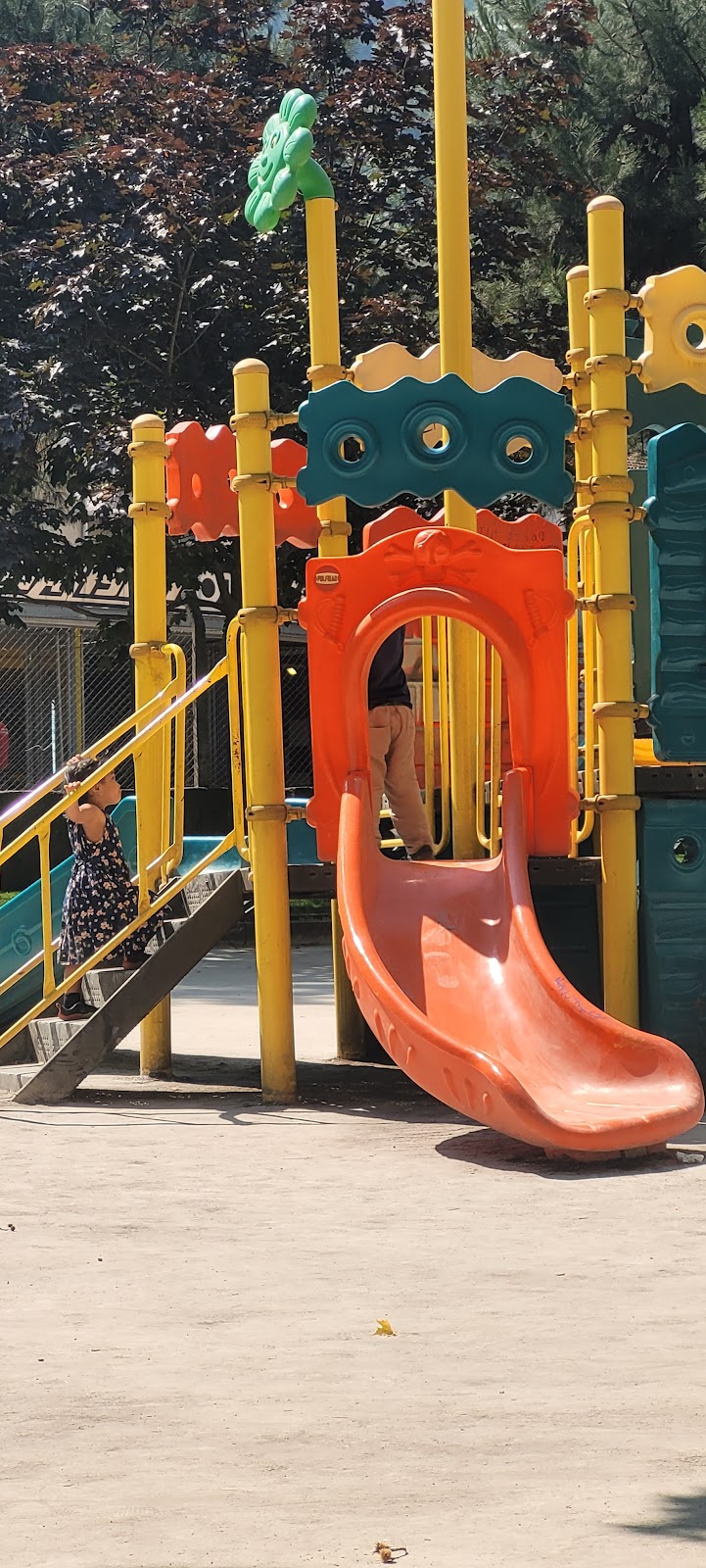 Temenyeri Park photo 8
