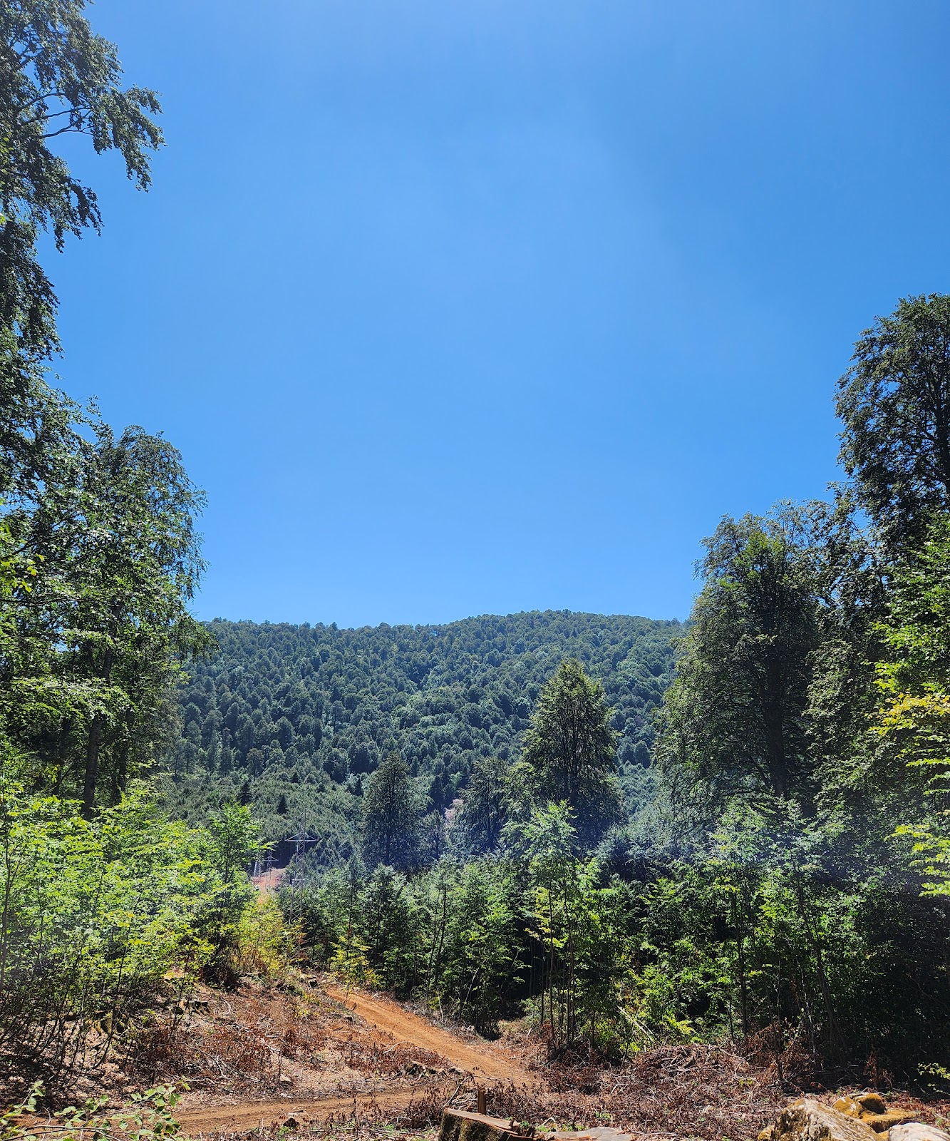 Kuzuyayla Nature Park photo 8