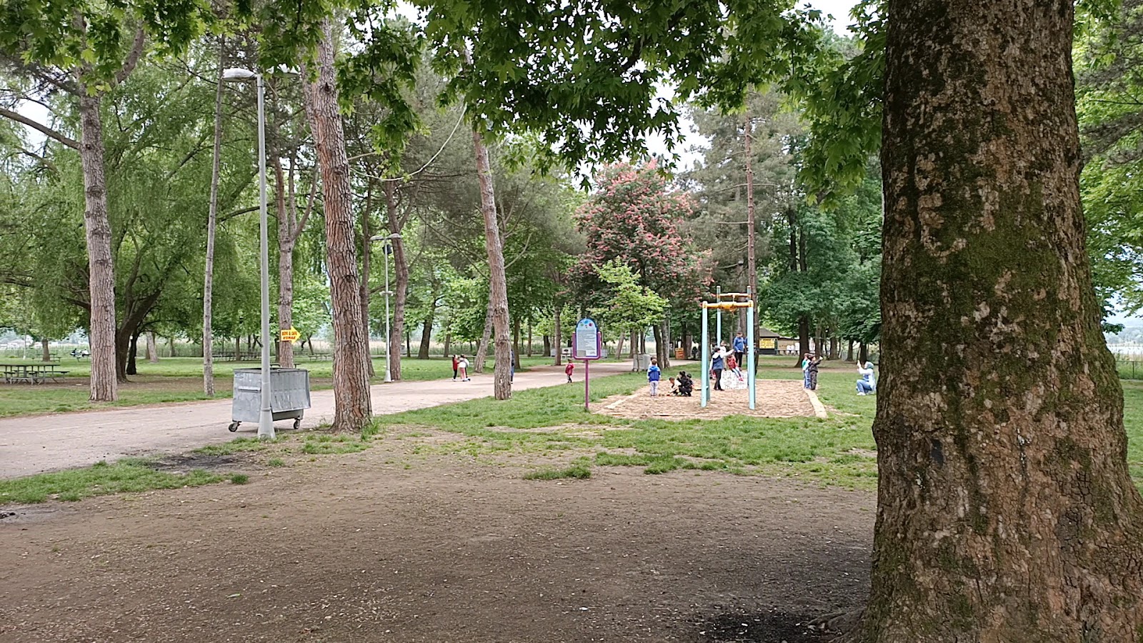 Seka Camp Picnic Area photo 4