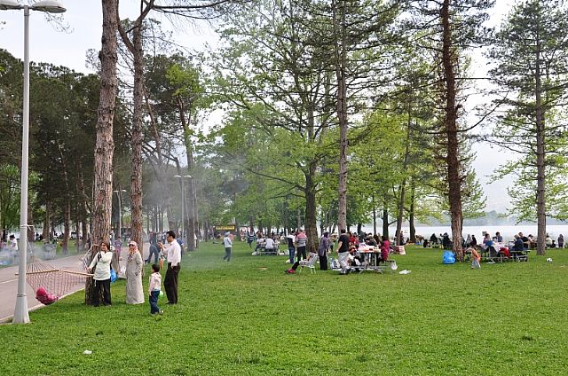 Seka Camp Picnic Area photo 1