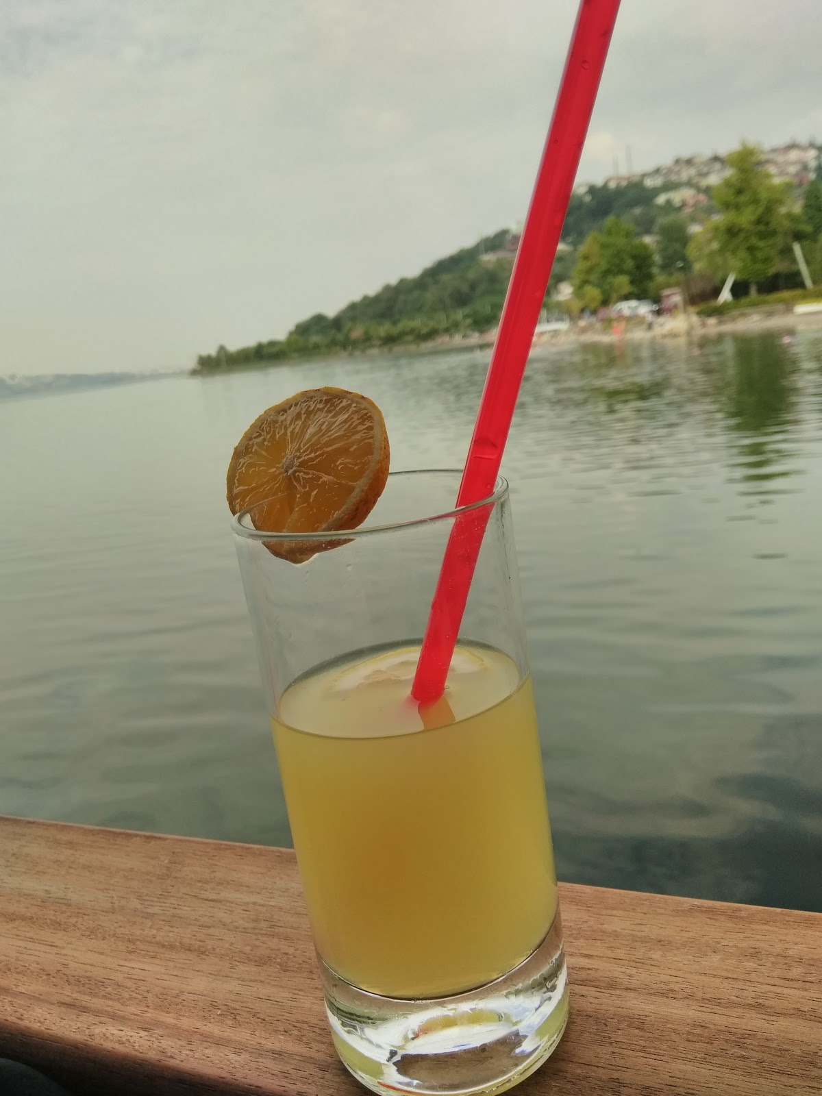 SASA SAPANCA Hotel & Restaurants photo 11