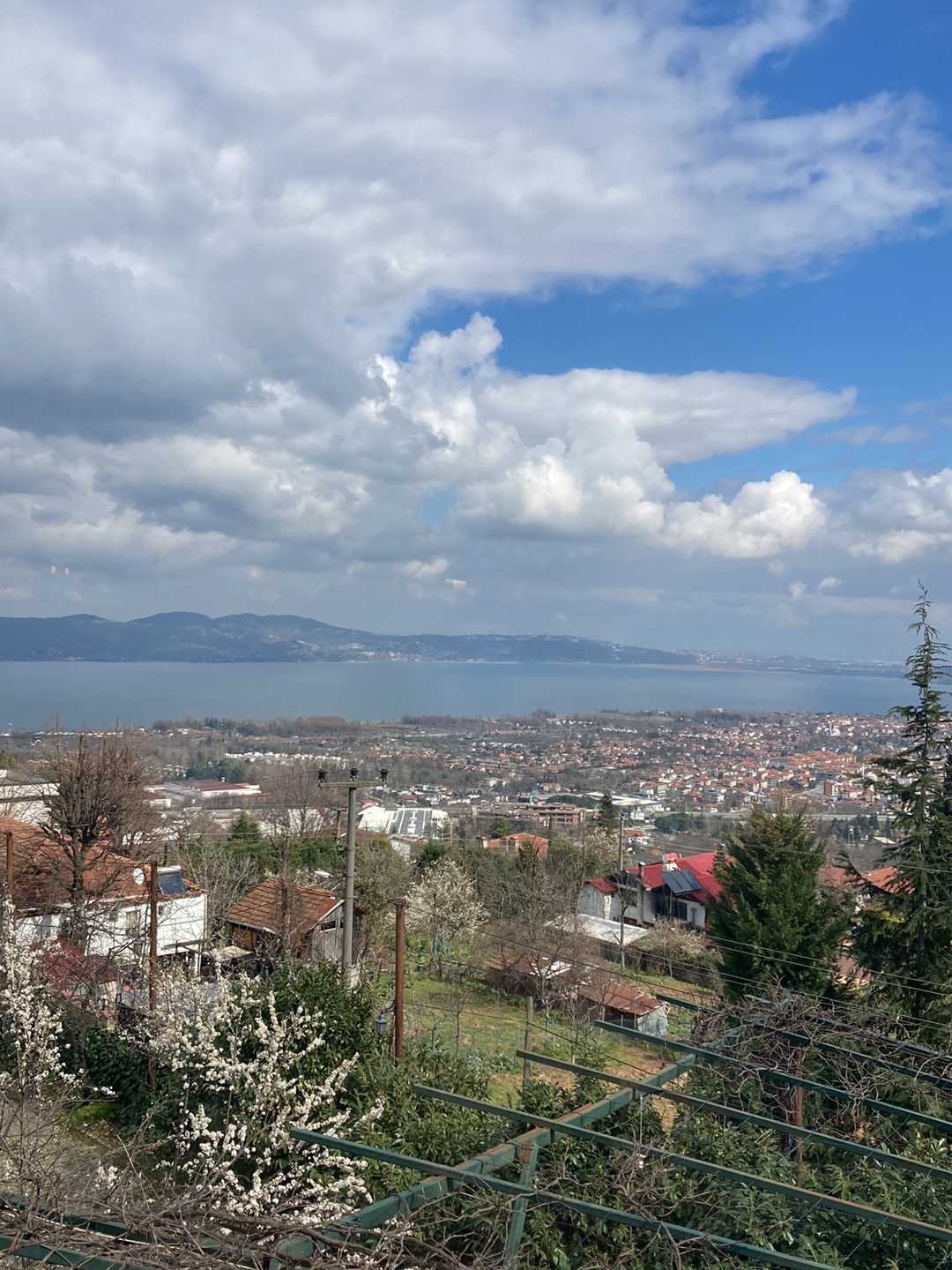 Menzara photo 9