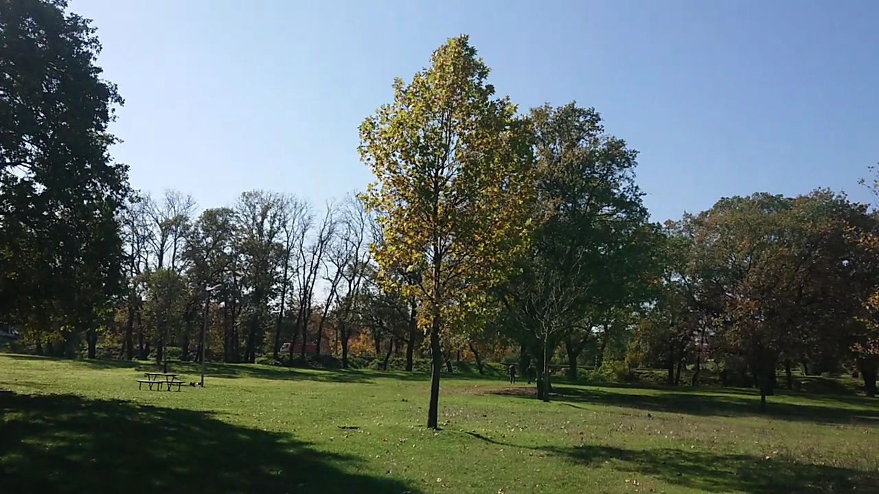 Agriculture Picnic Area photo 9