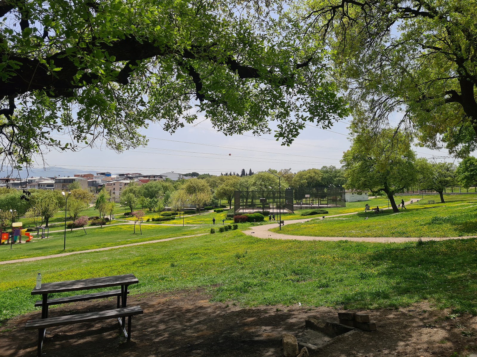 Agriculture Picnic Area photo 10