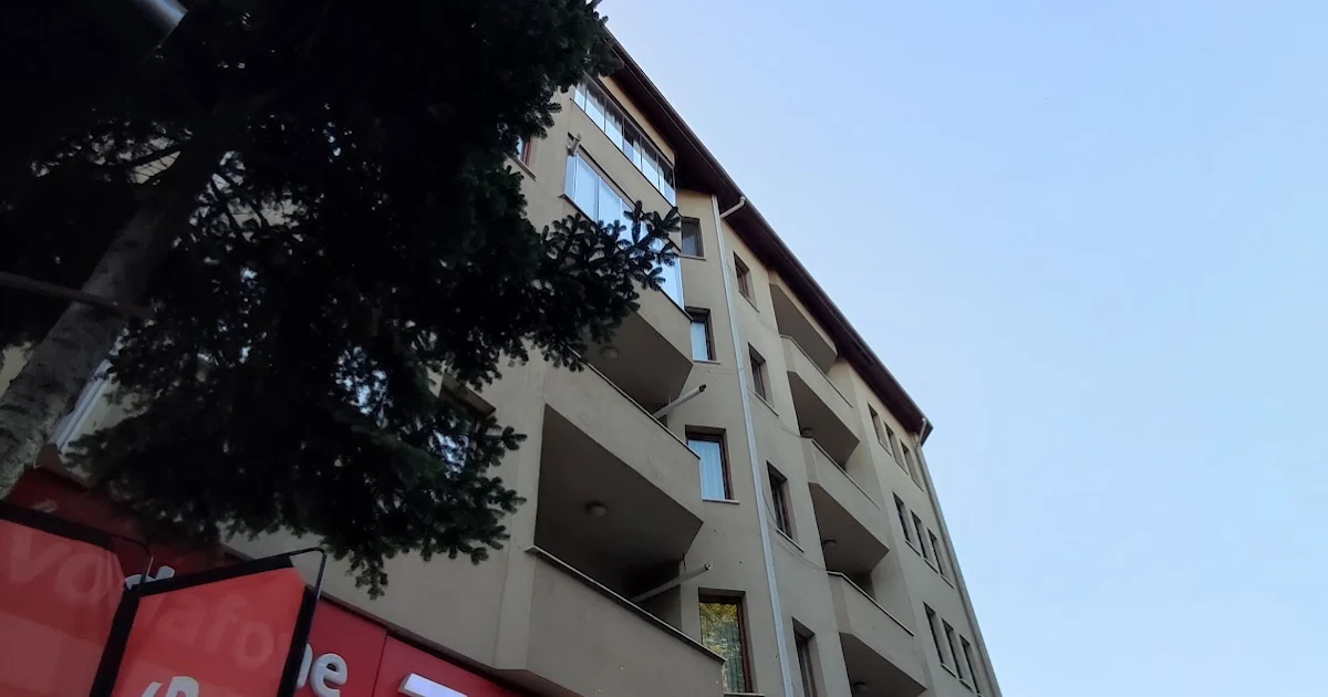 tadim dondurma photo 1